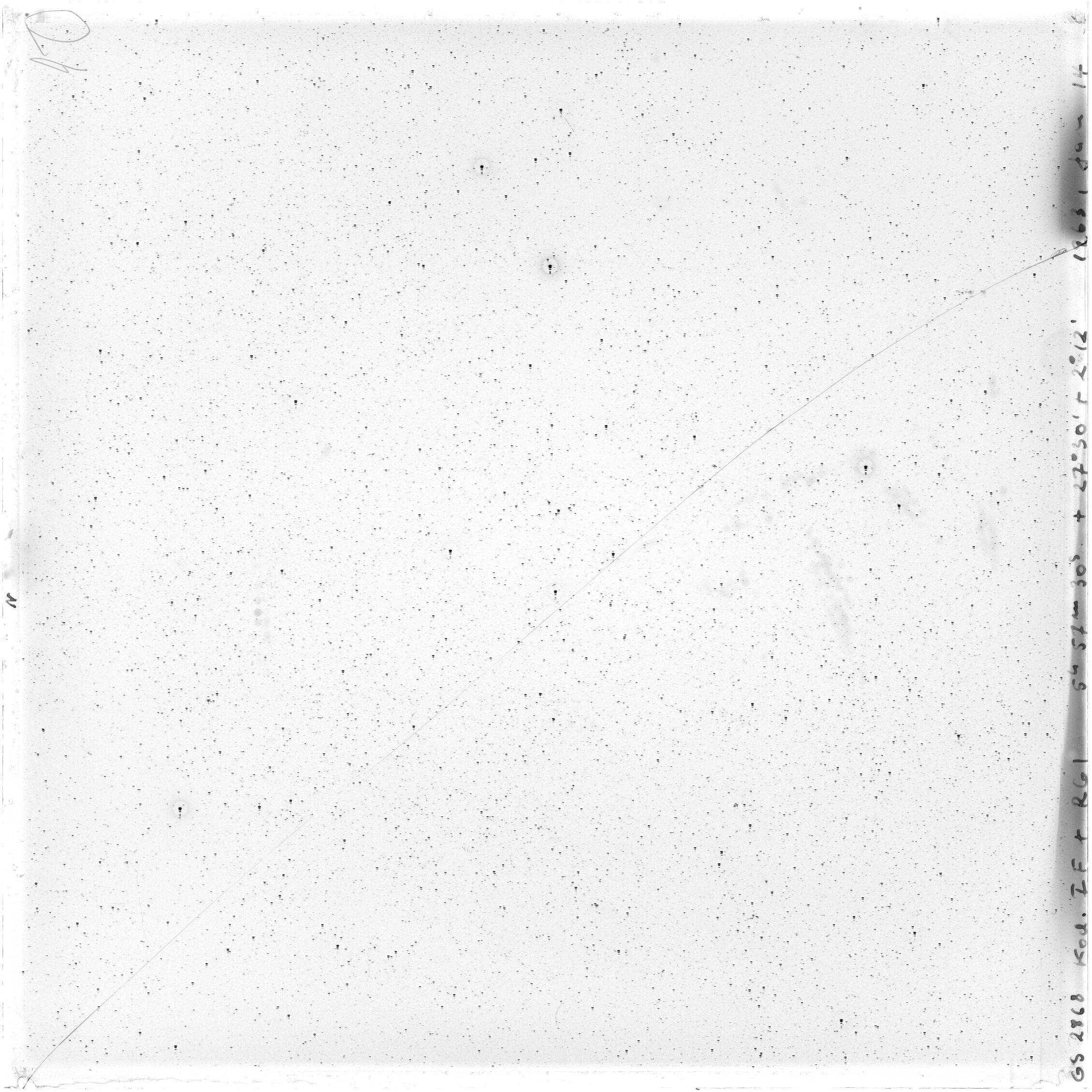 Scan GS02868