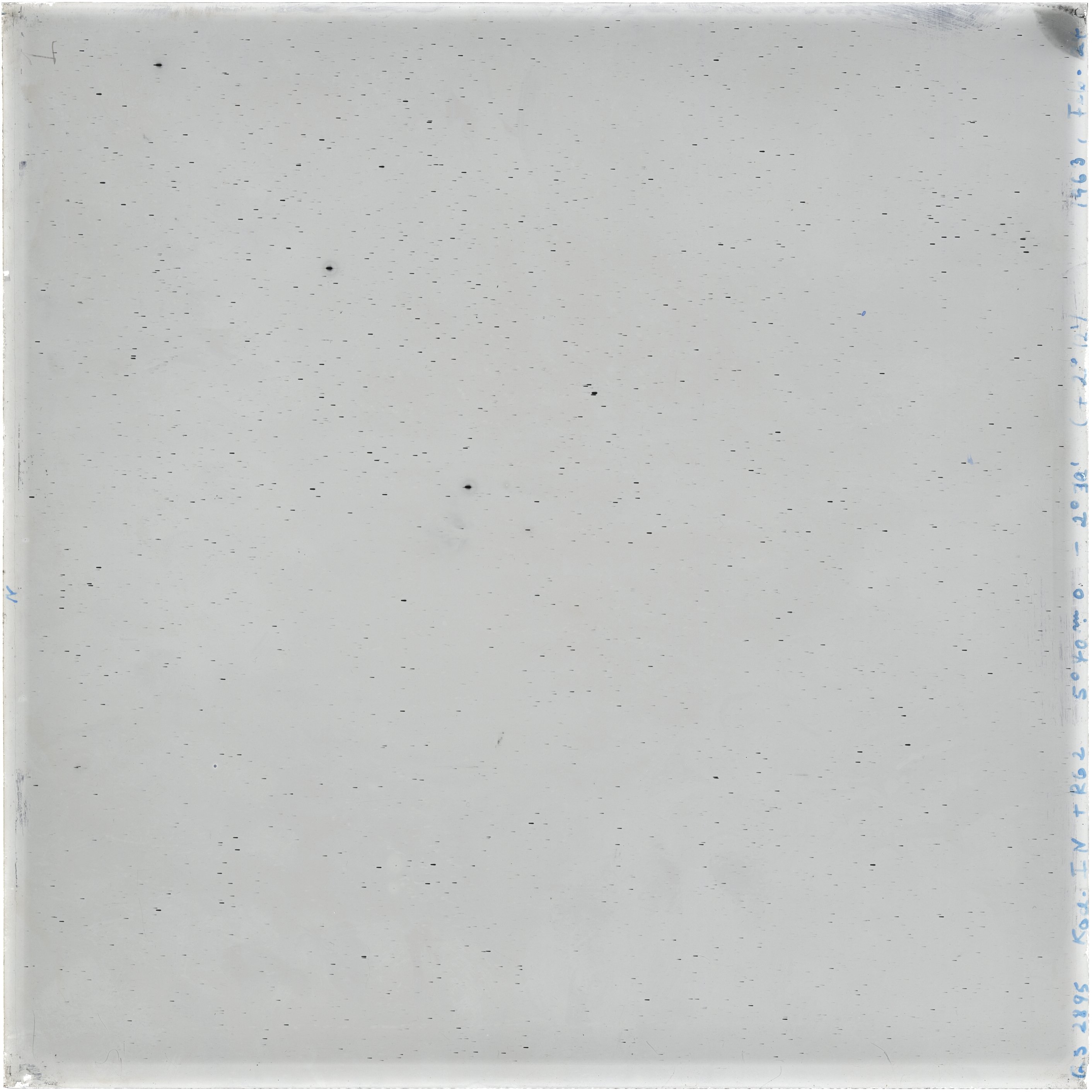 Scan GS02895