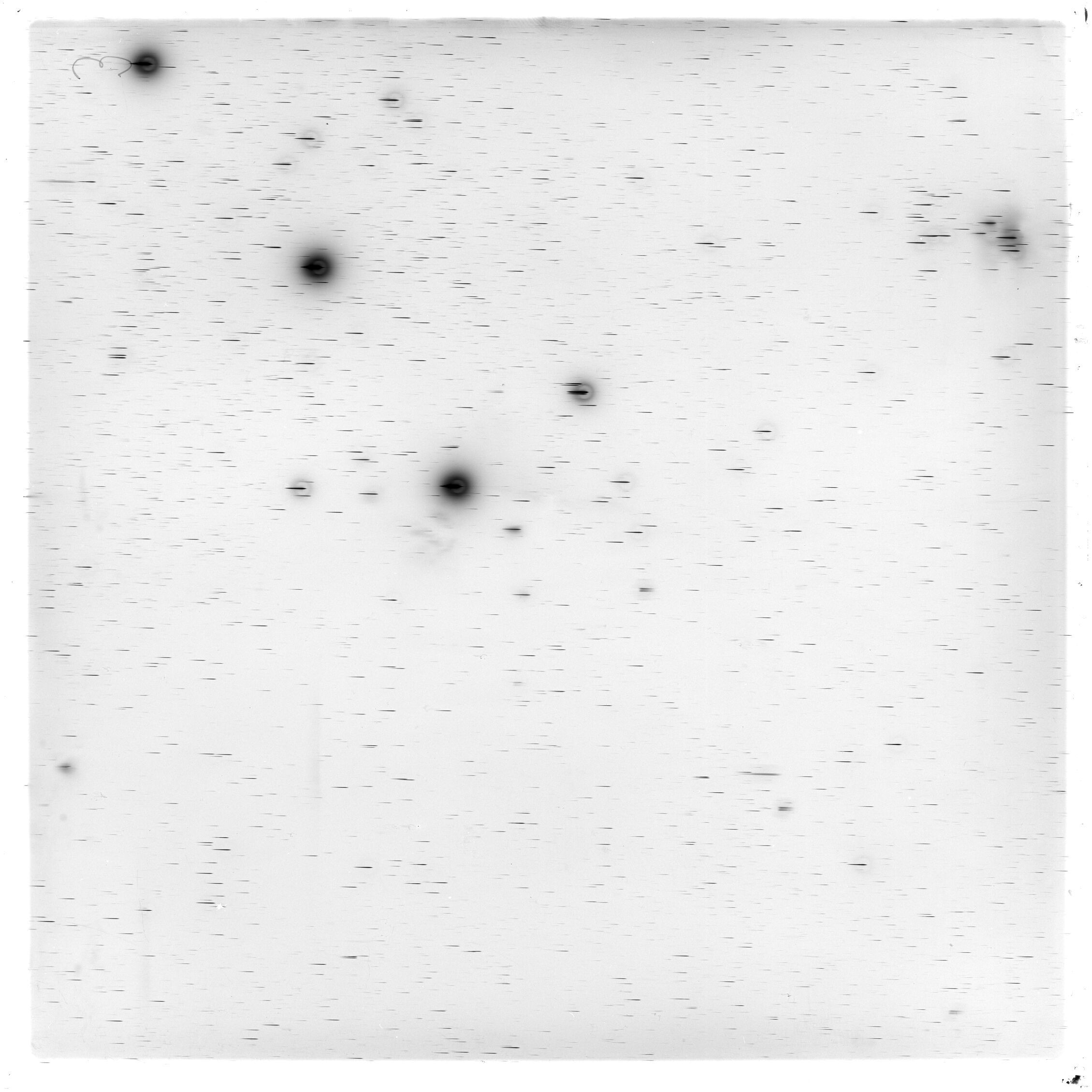 Scan GS02897
