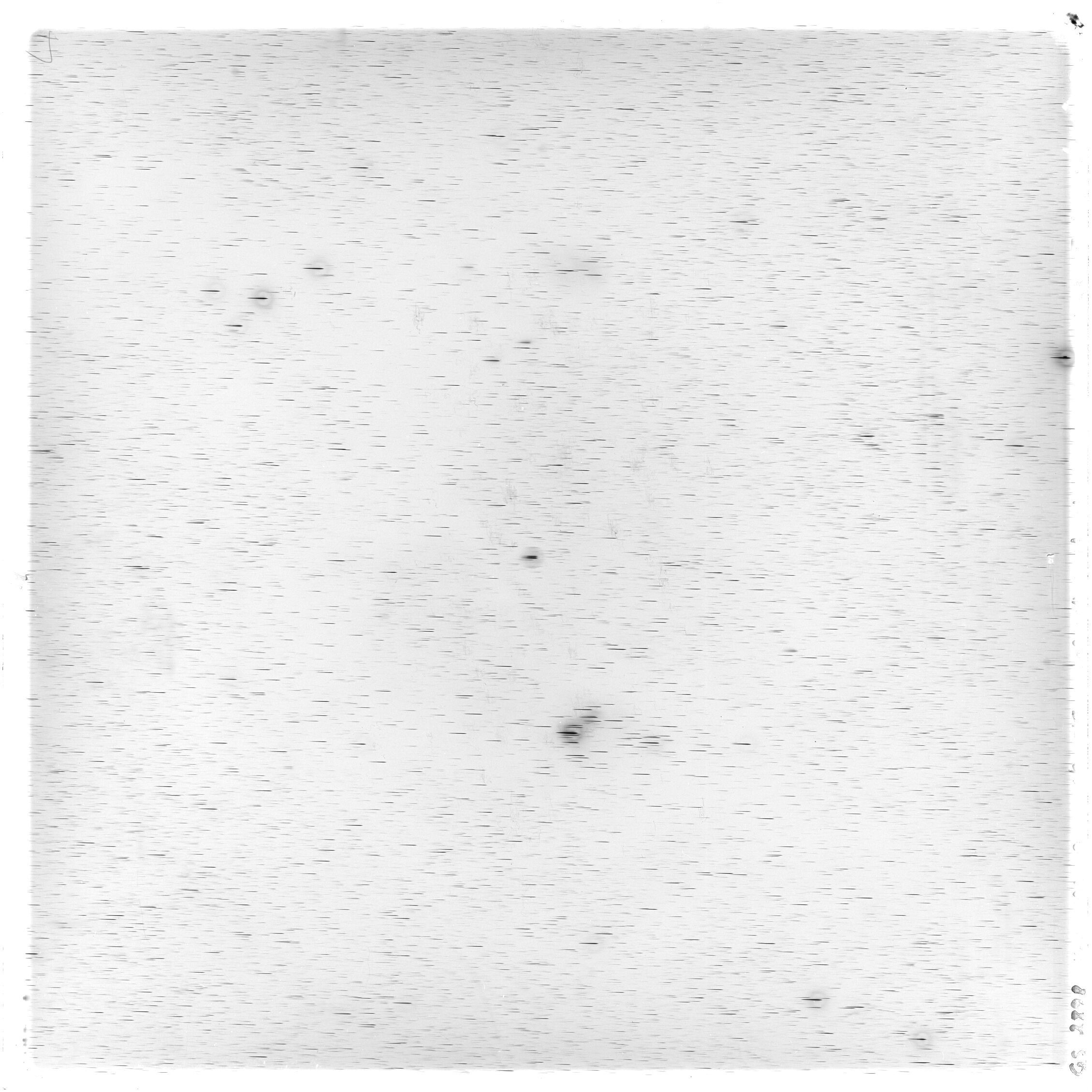 Scan GS02898