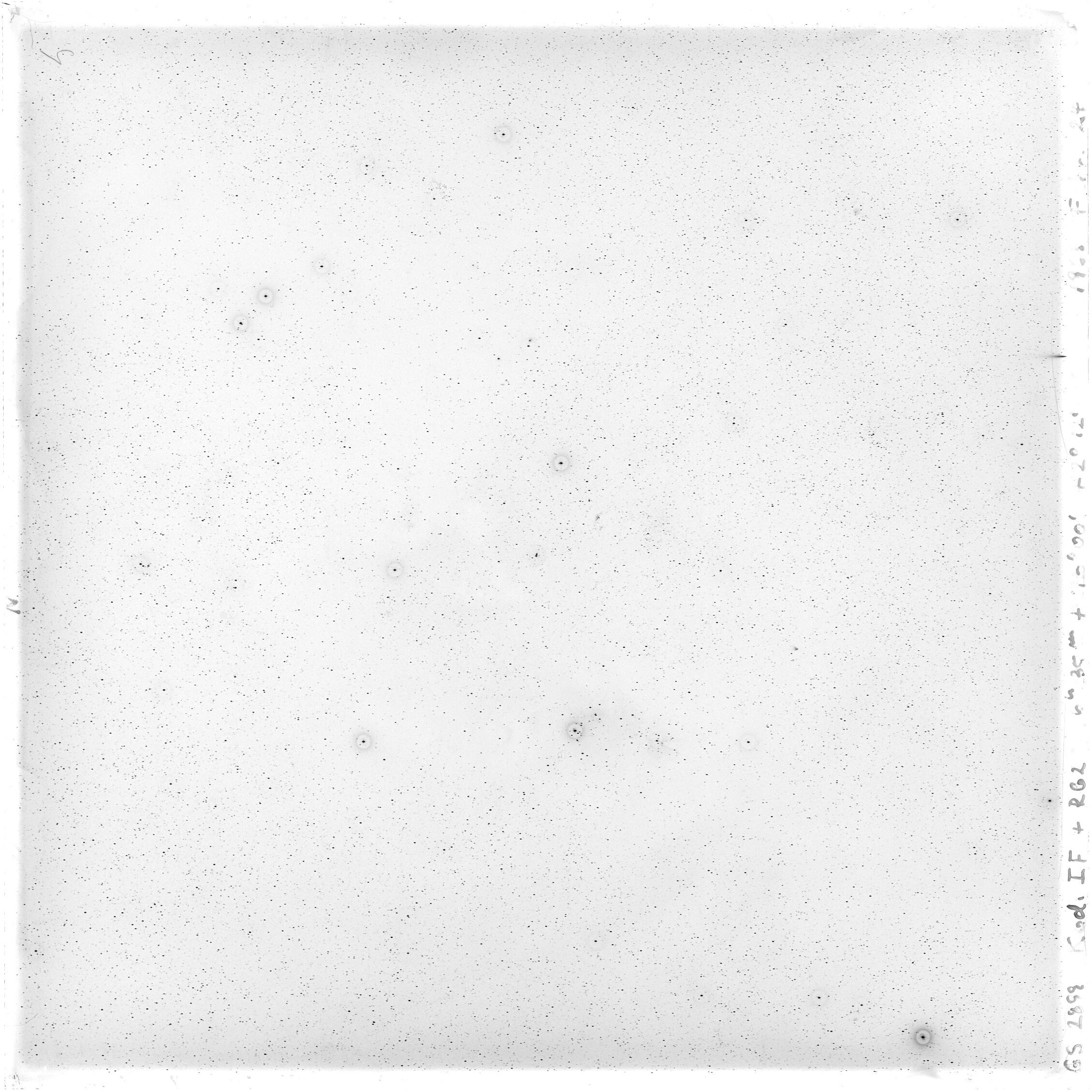Scan GS02899