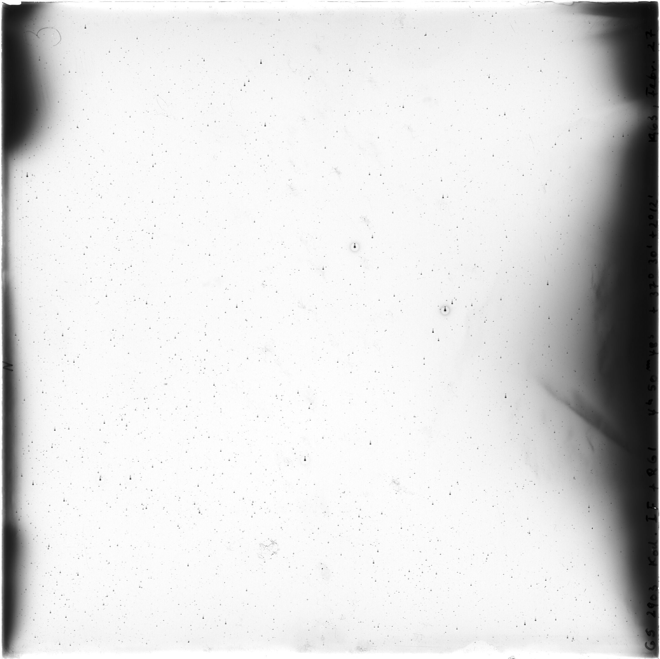 Scan GS02903
