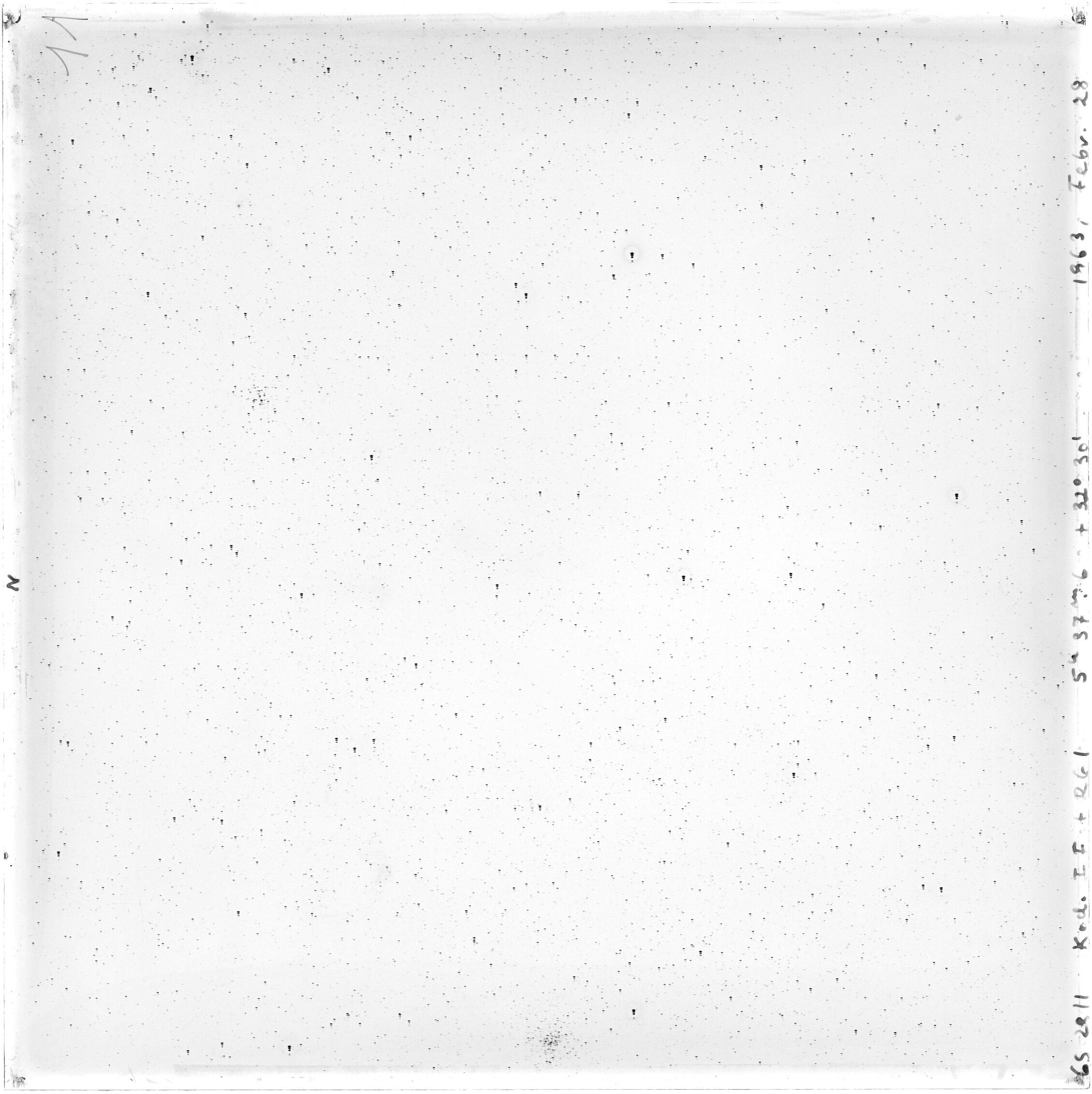 Scan GS02911
