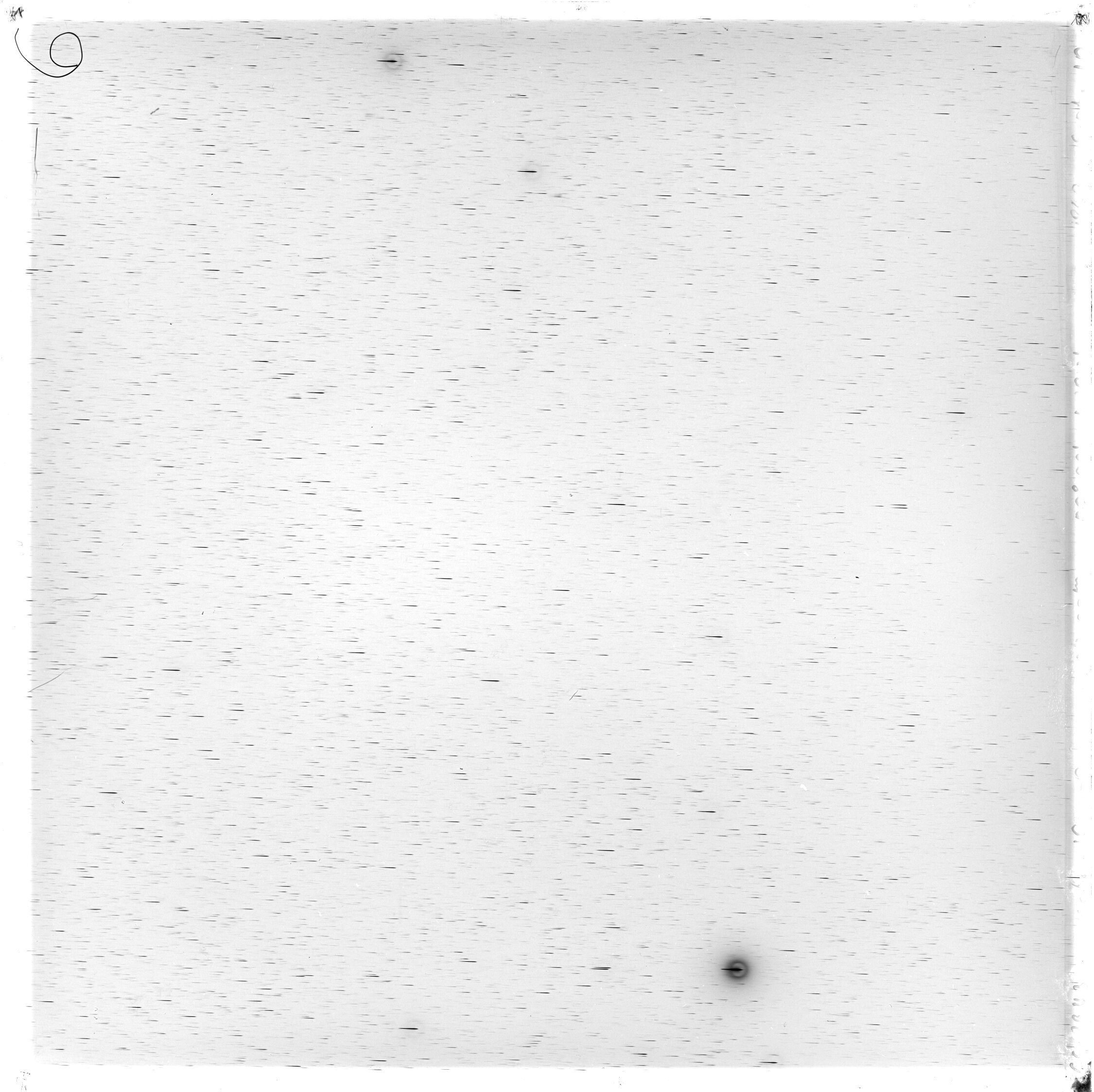Scan GS02943