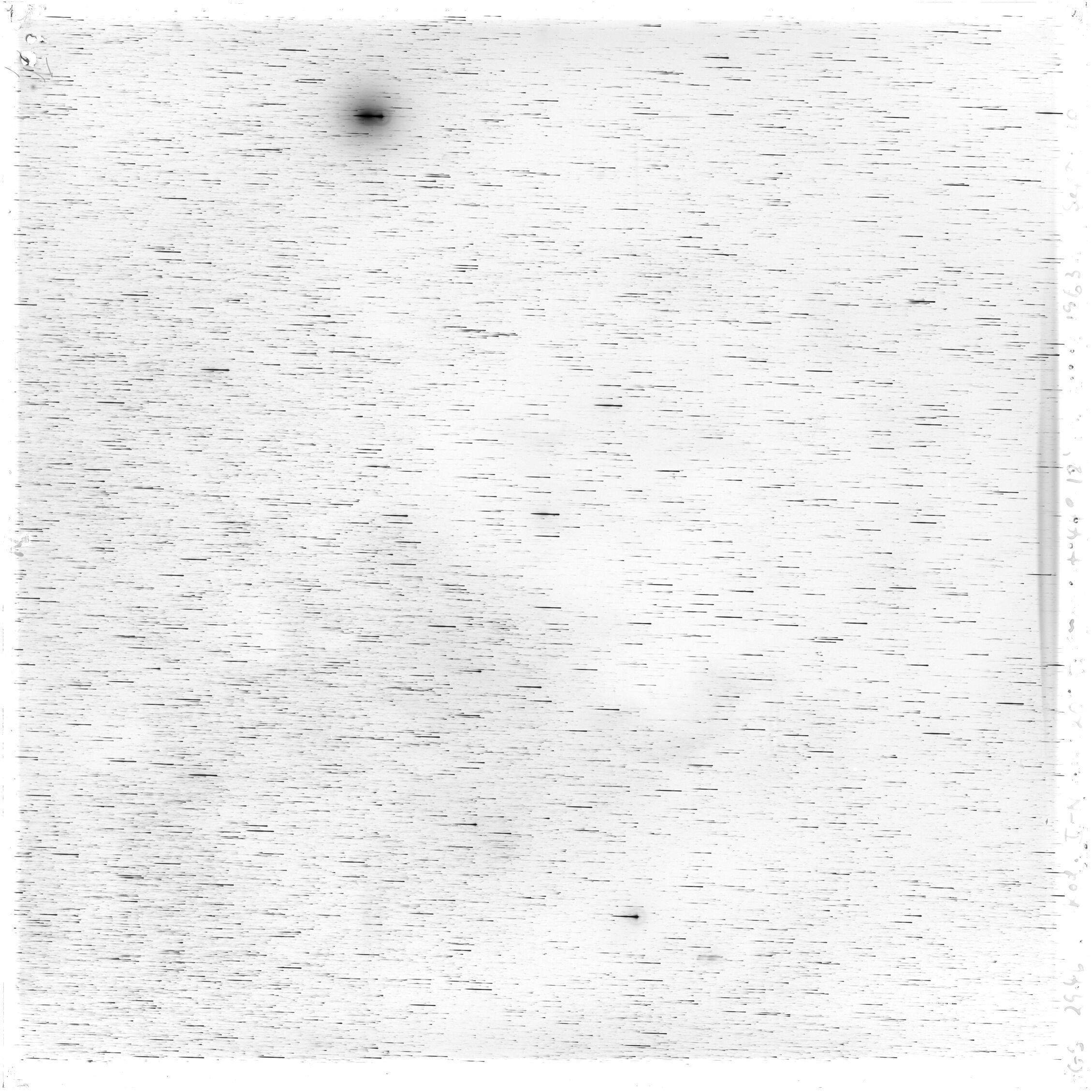 Scan GS02946