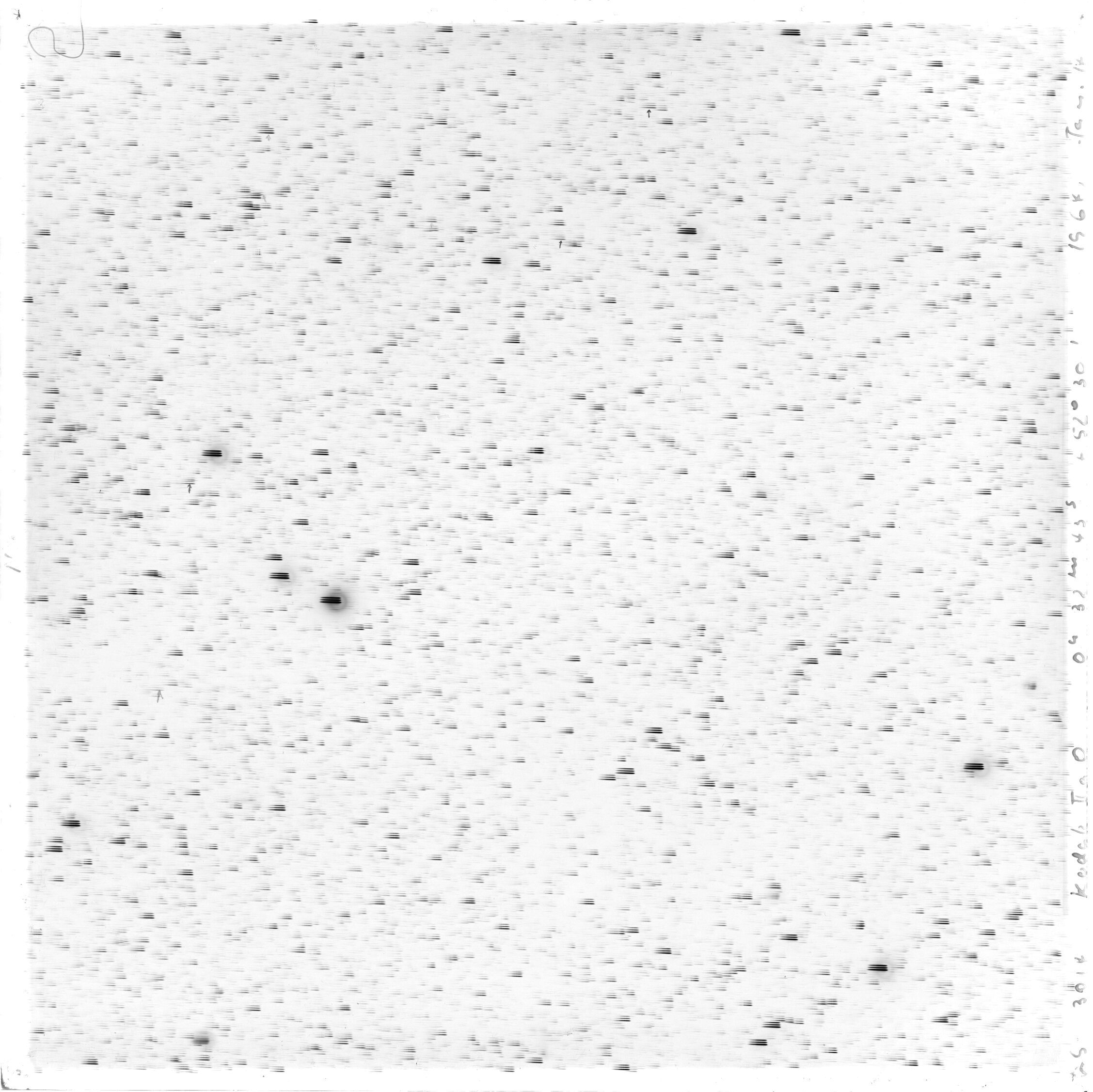 Scan GS03014