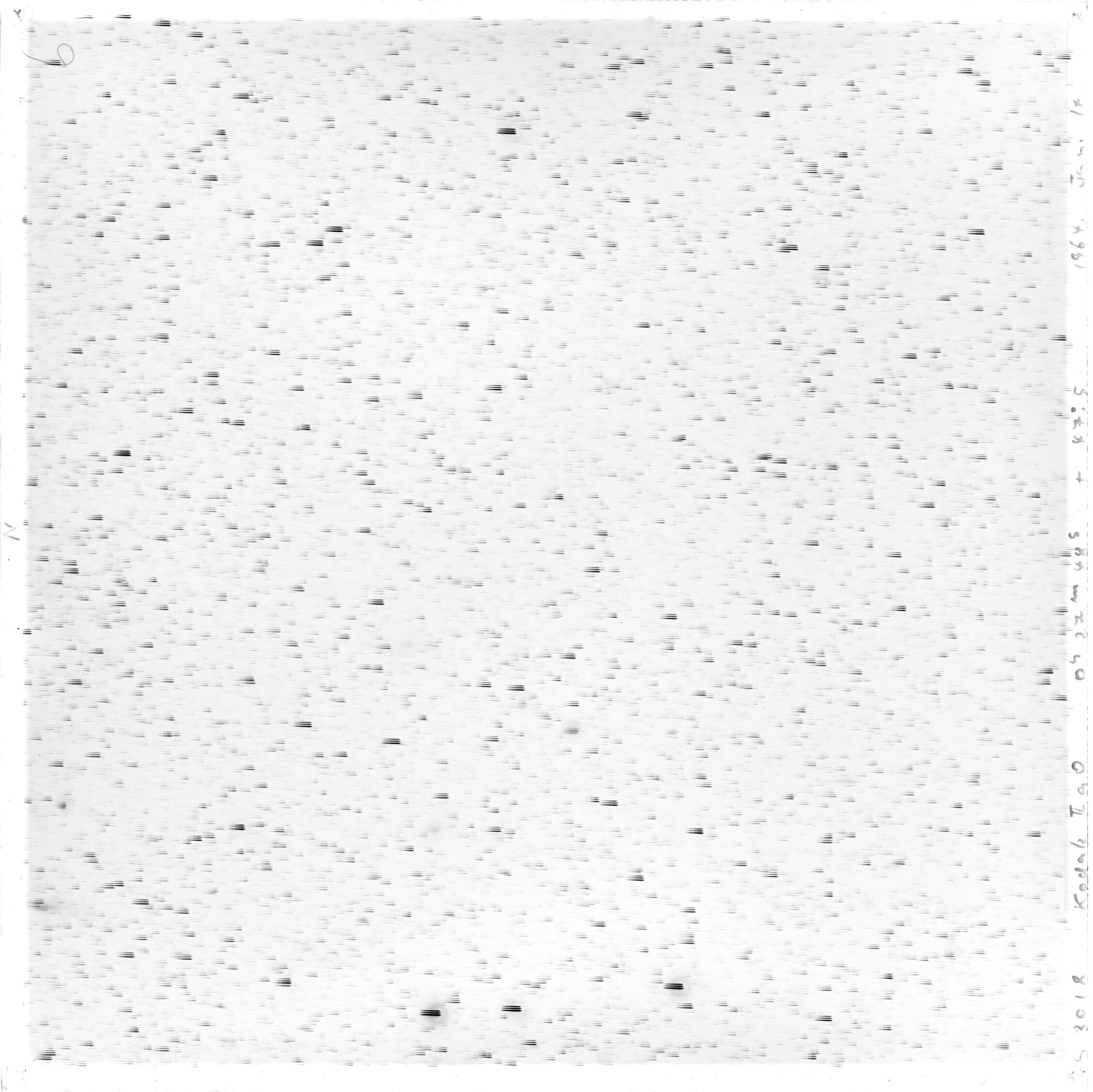 Scan GS03018