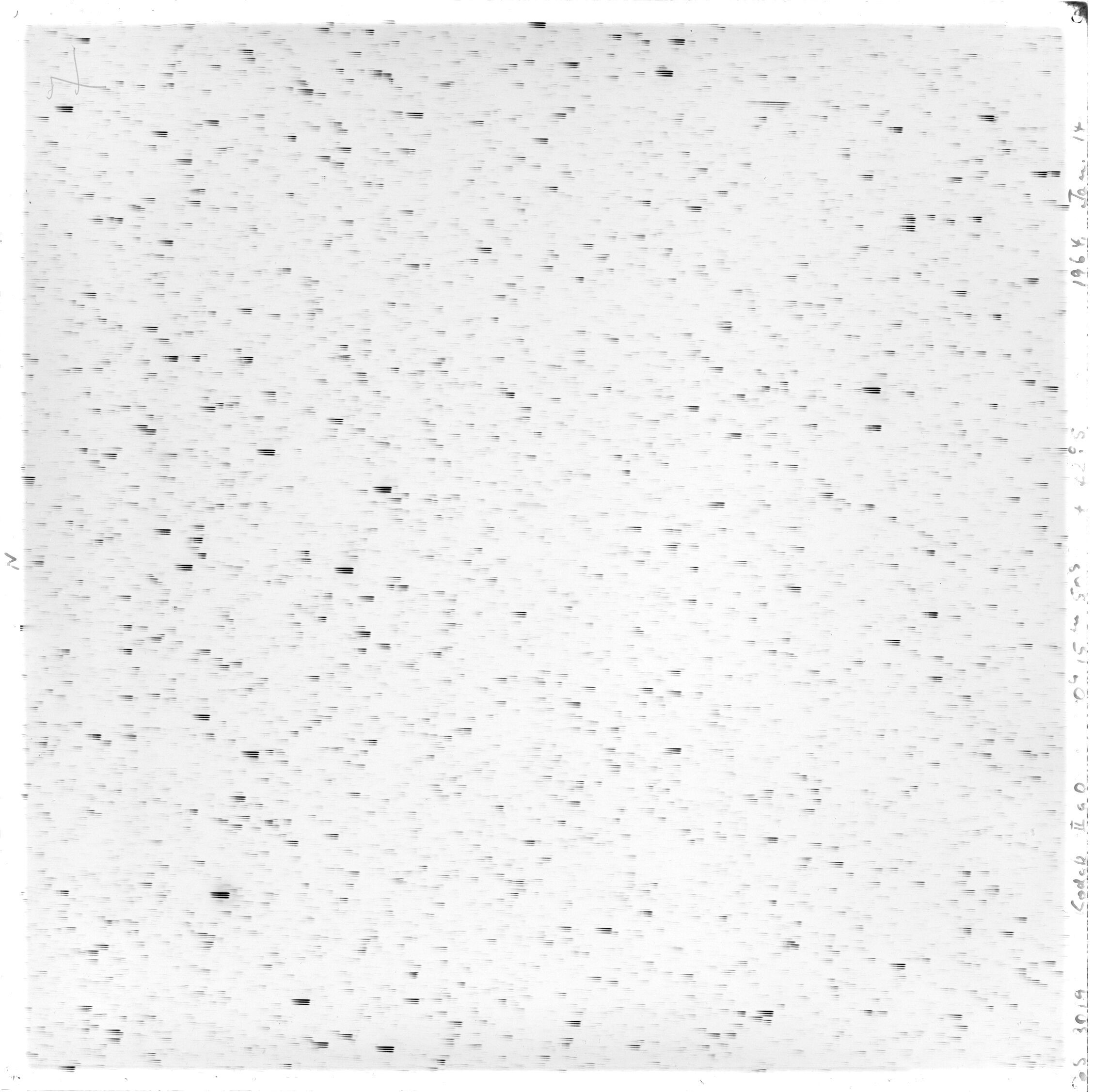 Scan GS03019