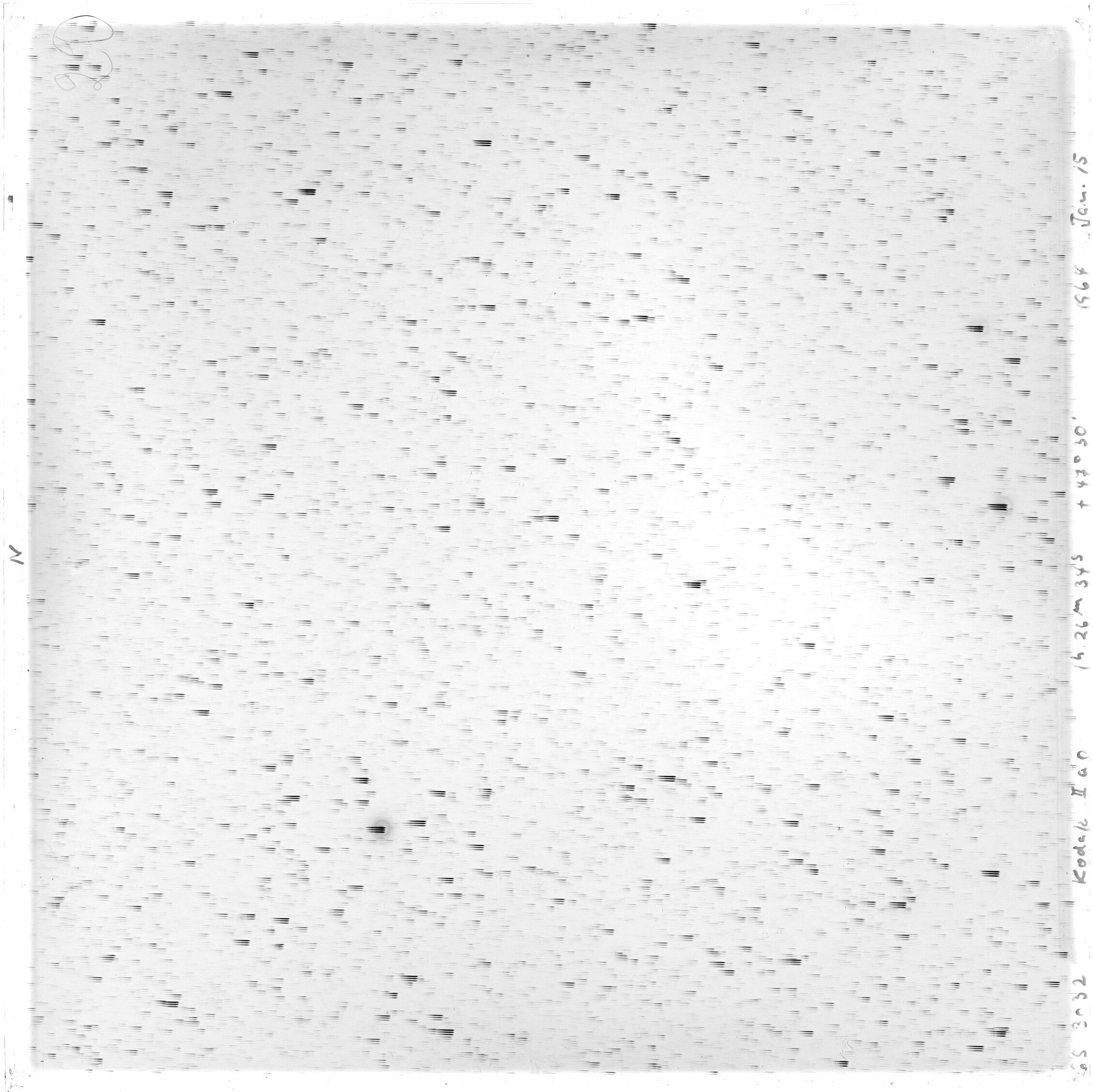 Scan GS03032