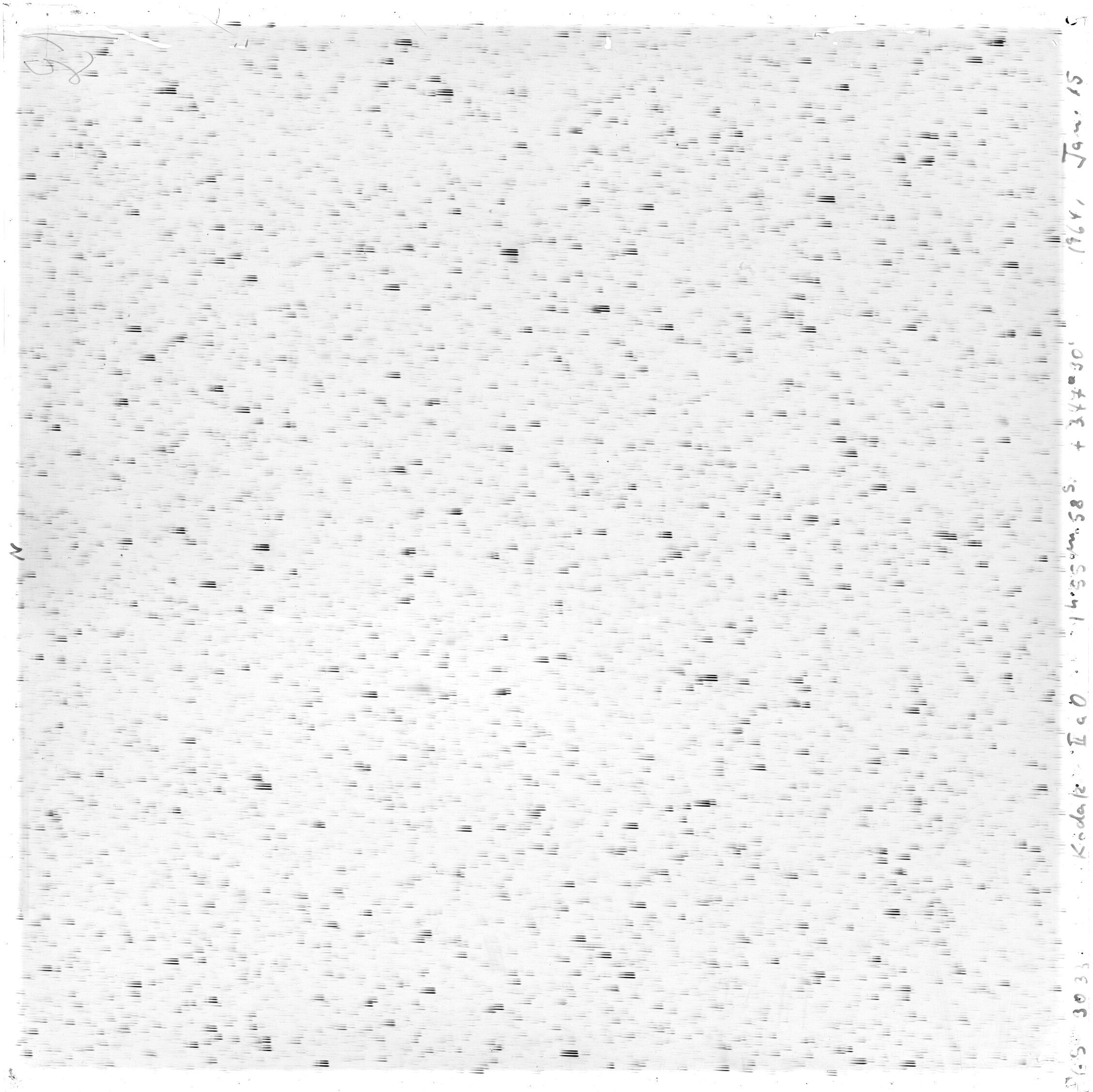 Scan GS03033
