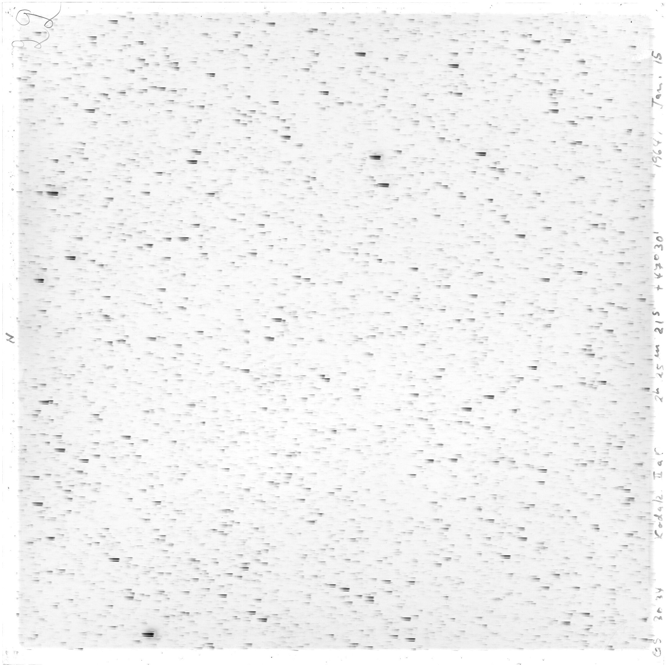 Scan GS03034