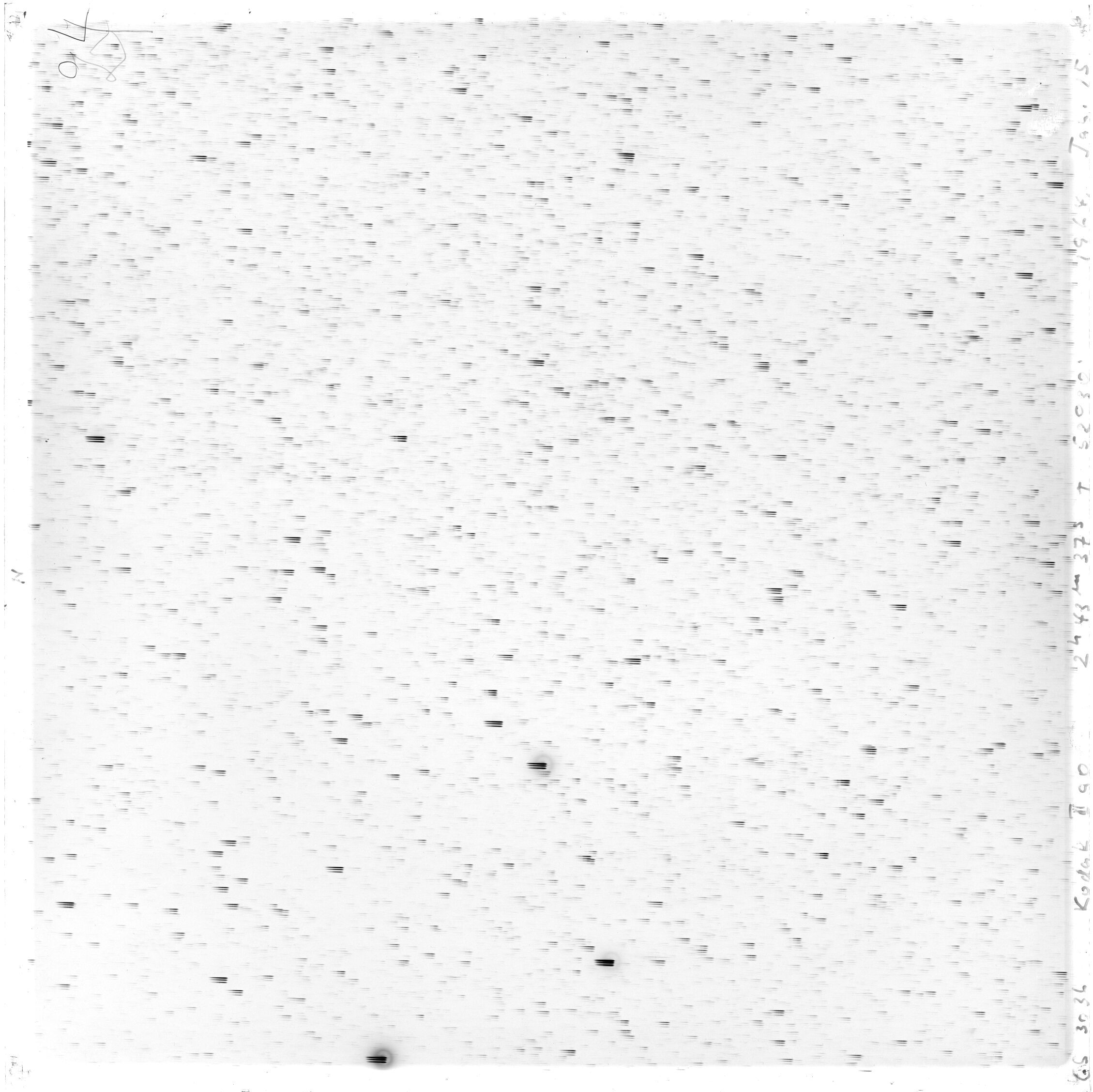 Scan GS03036