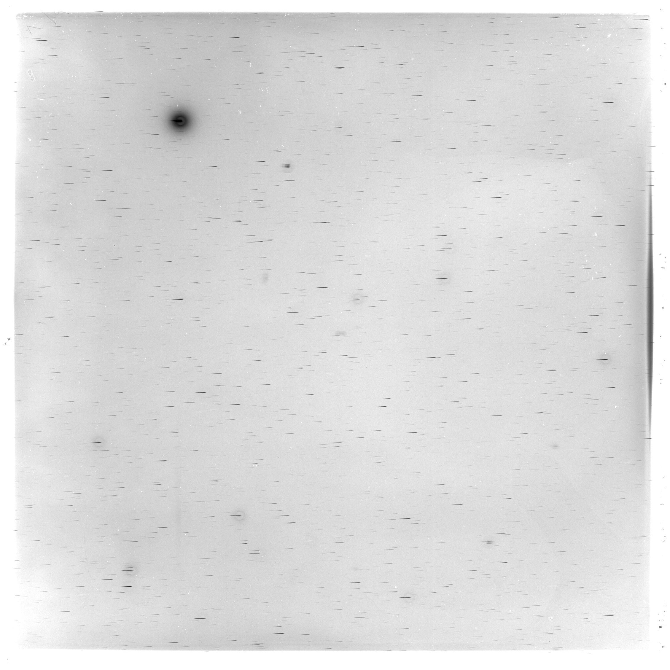 Scan GS03126