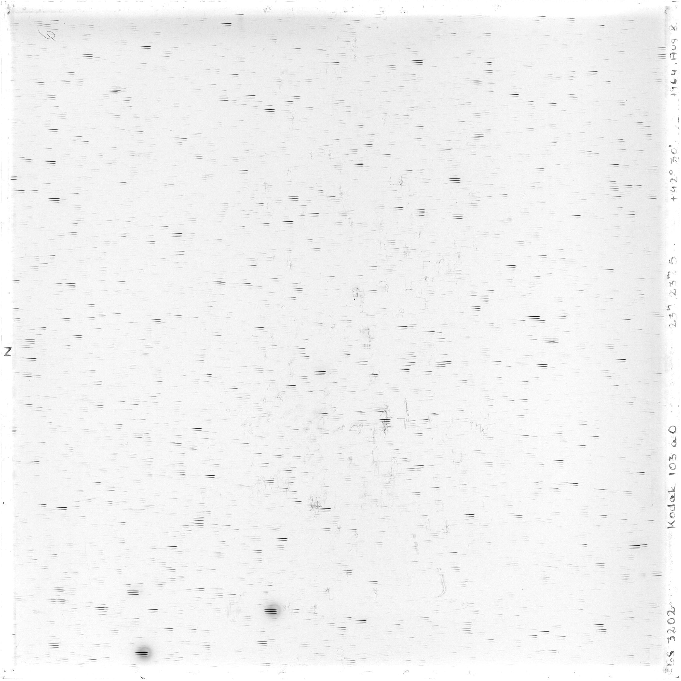 Scan GS03202