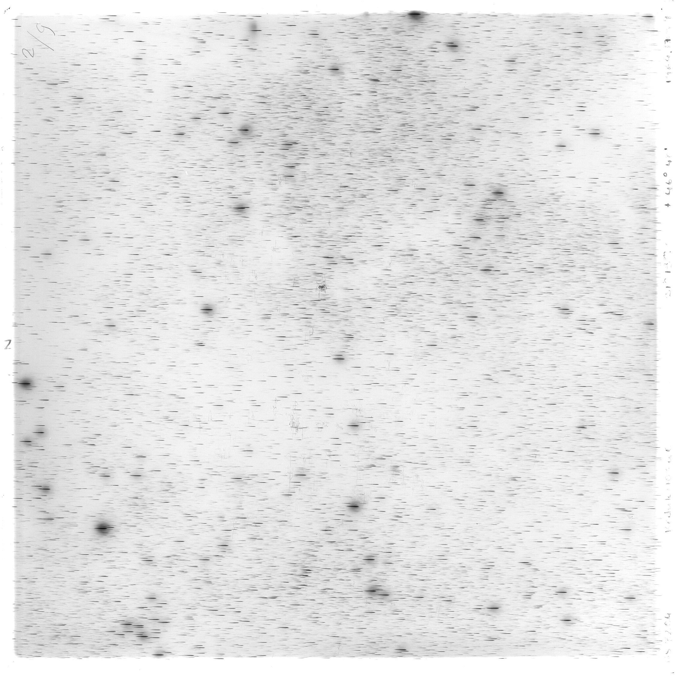 Scan GS03204