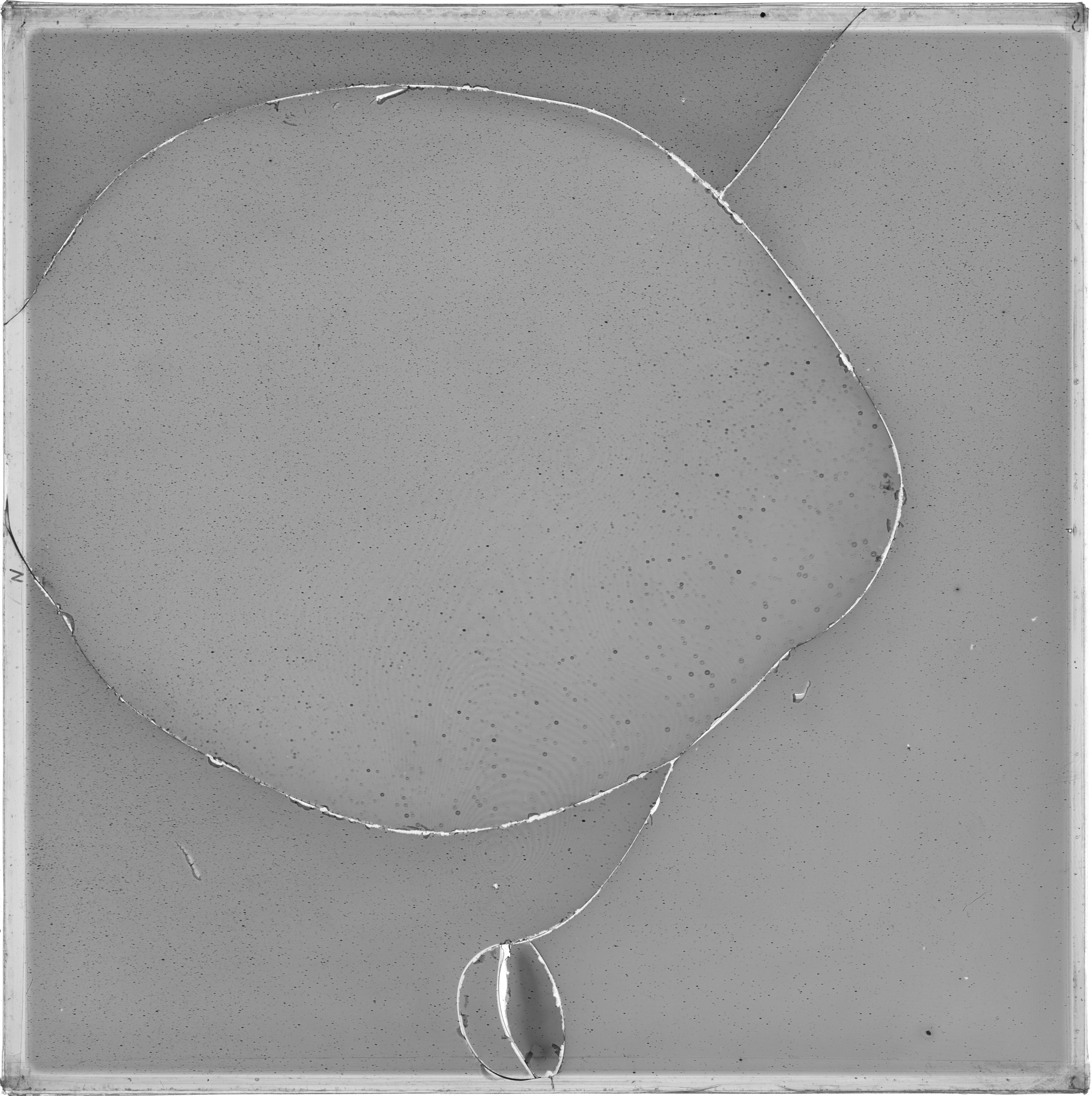 Scan GS03237