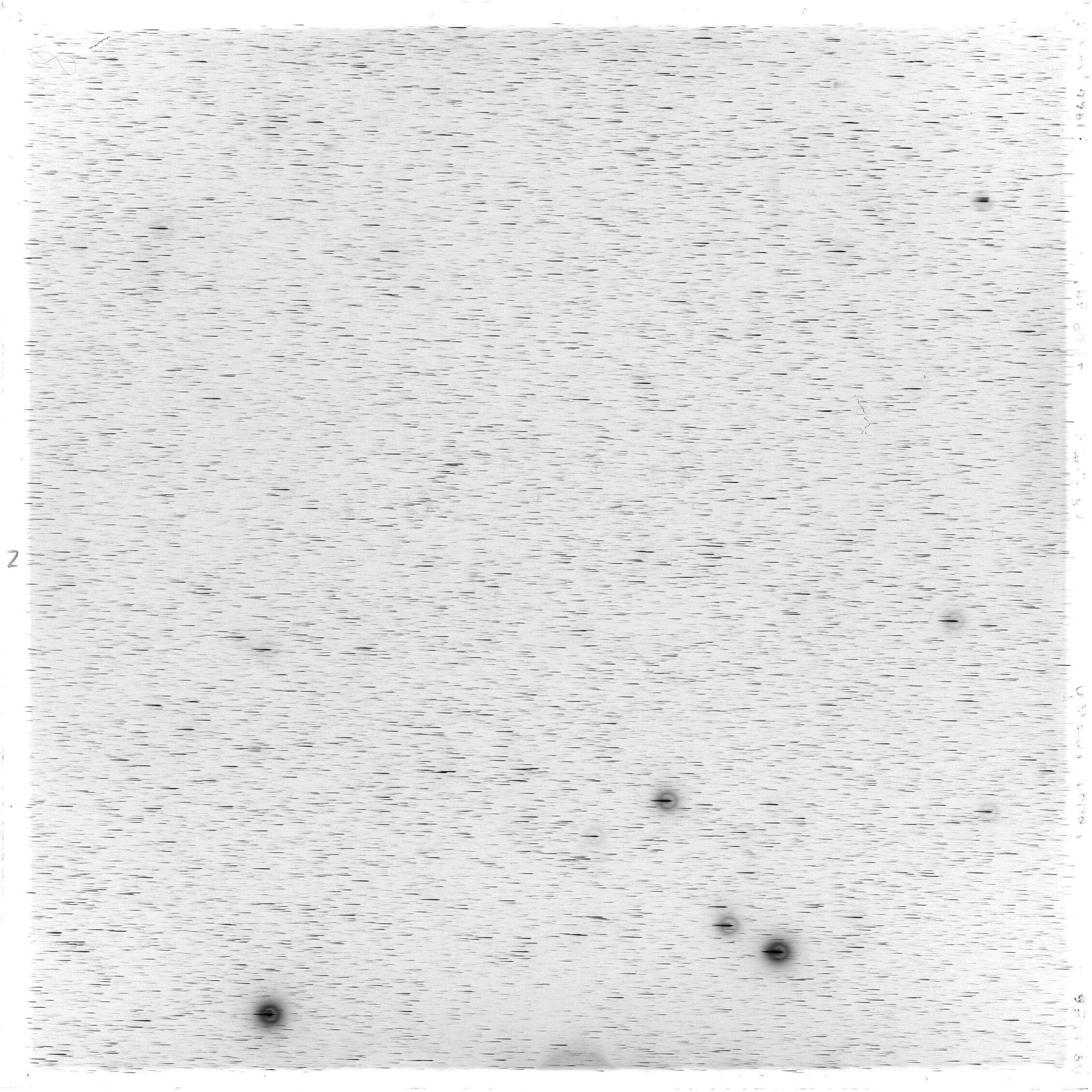 Scan GS03256