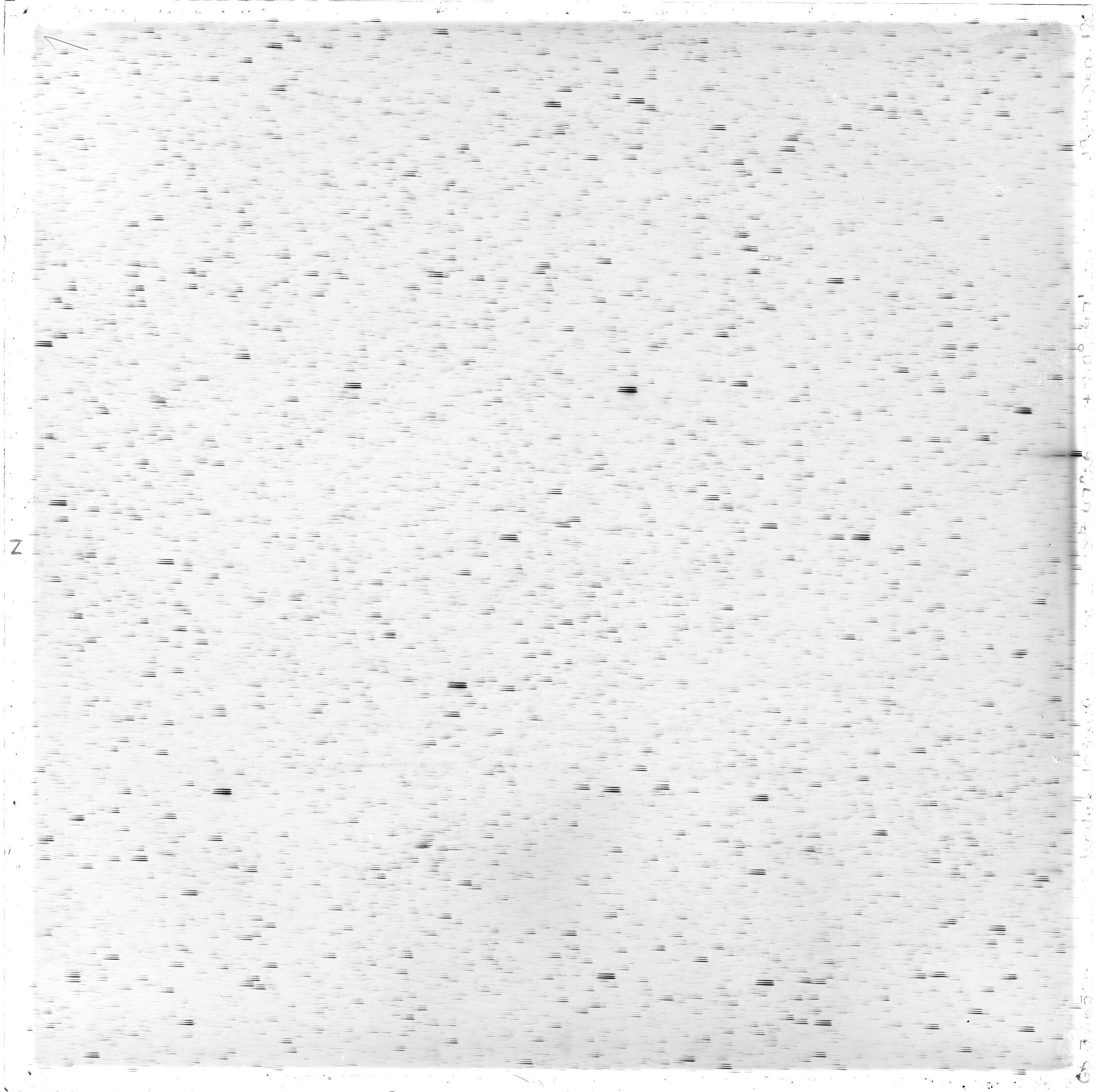 Scan GS03265