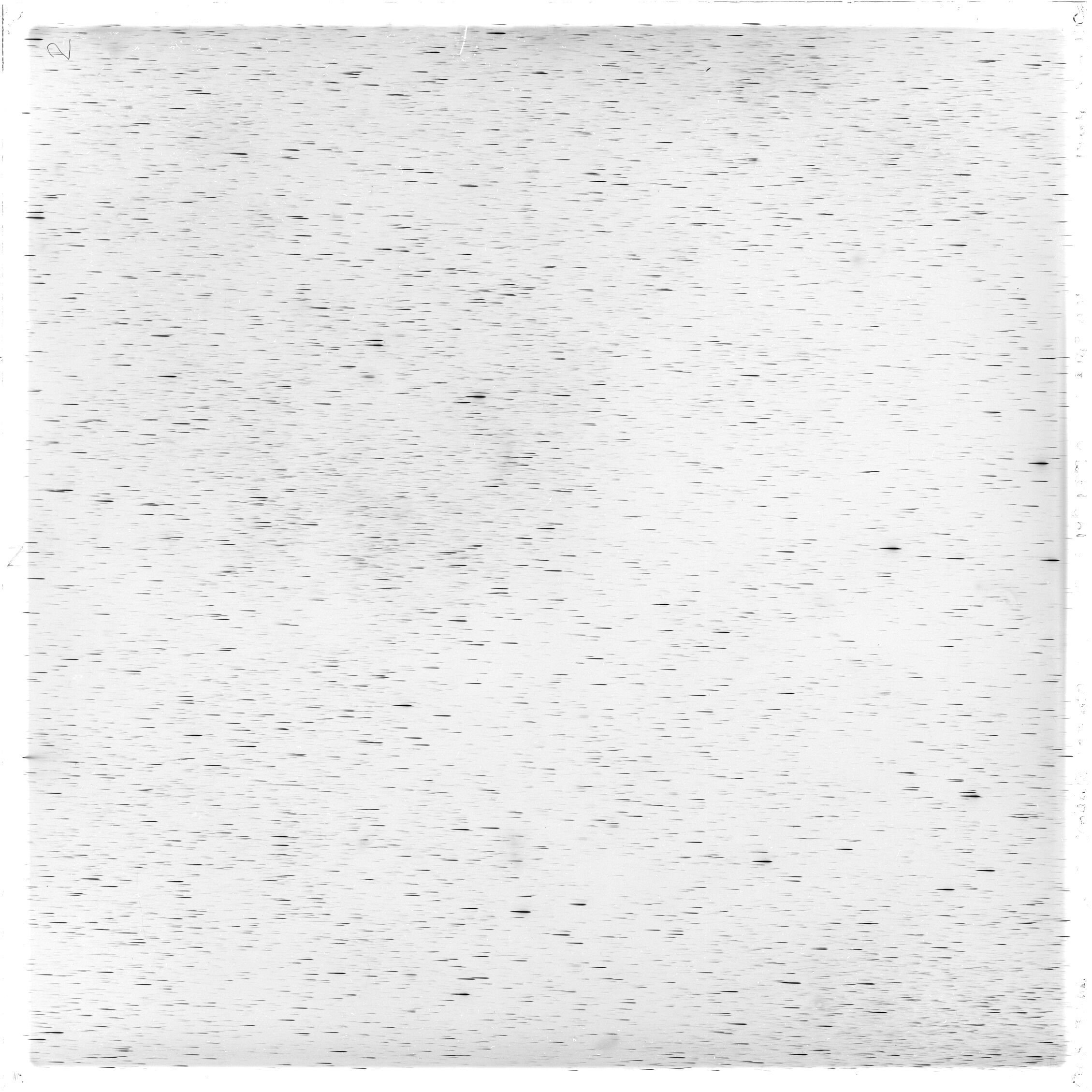 Scan GS03266