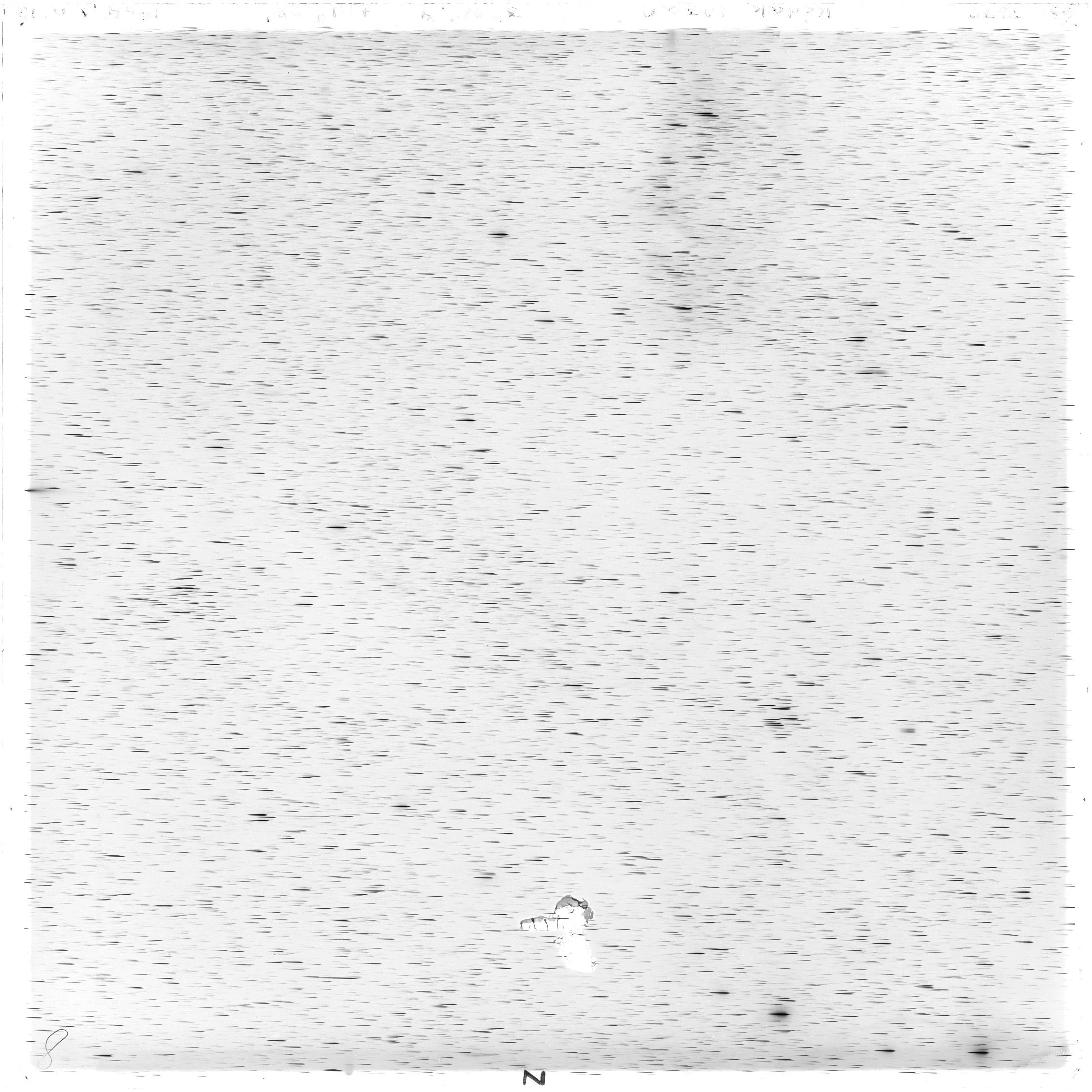 Scan GS03272