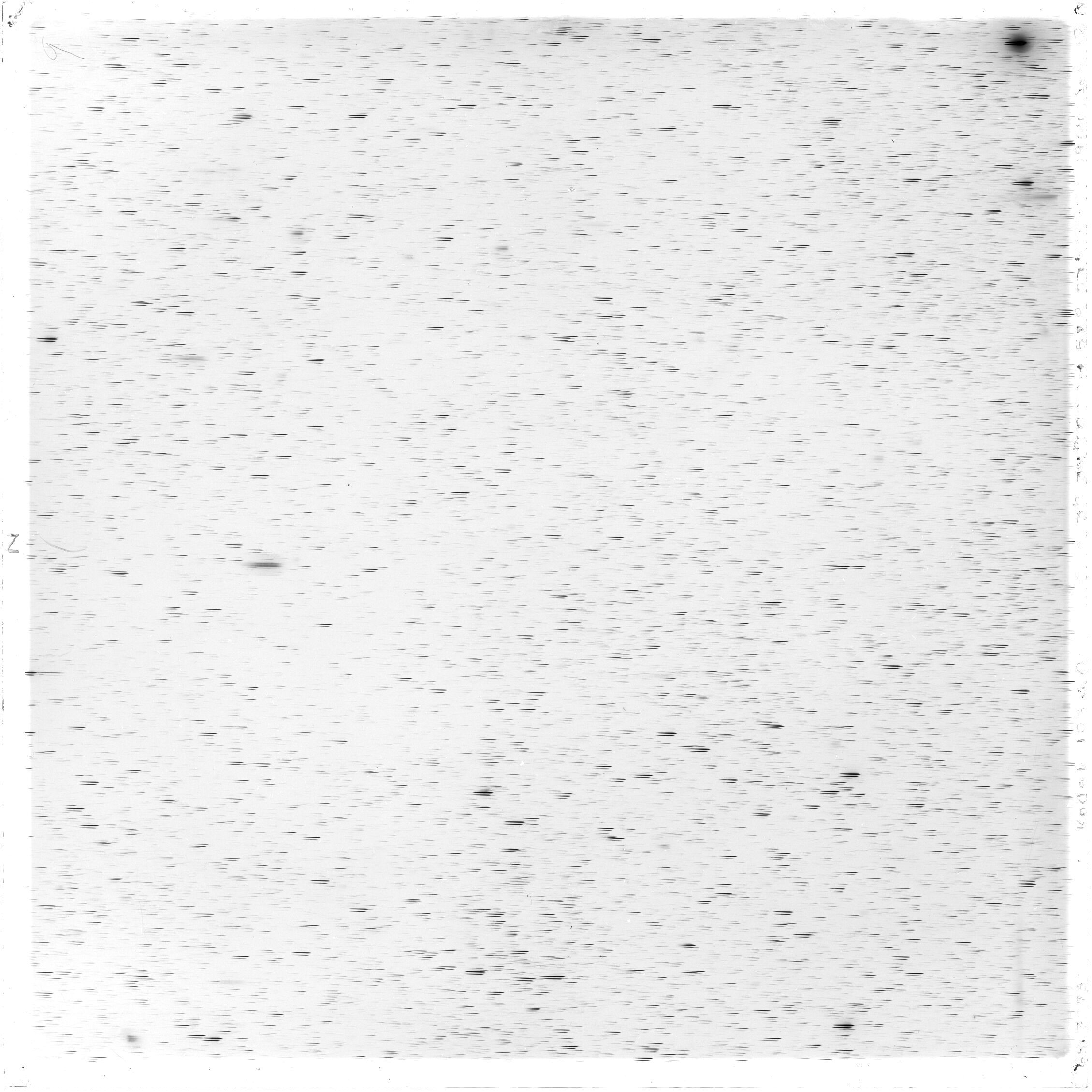 Scan GS03273