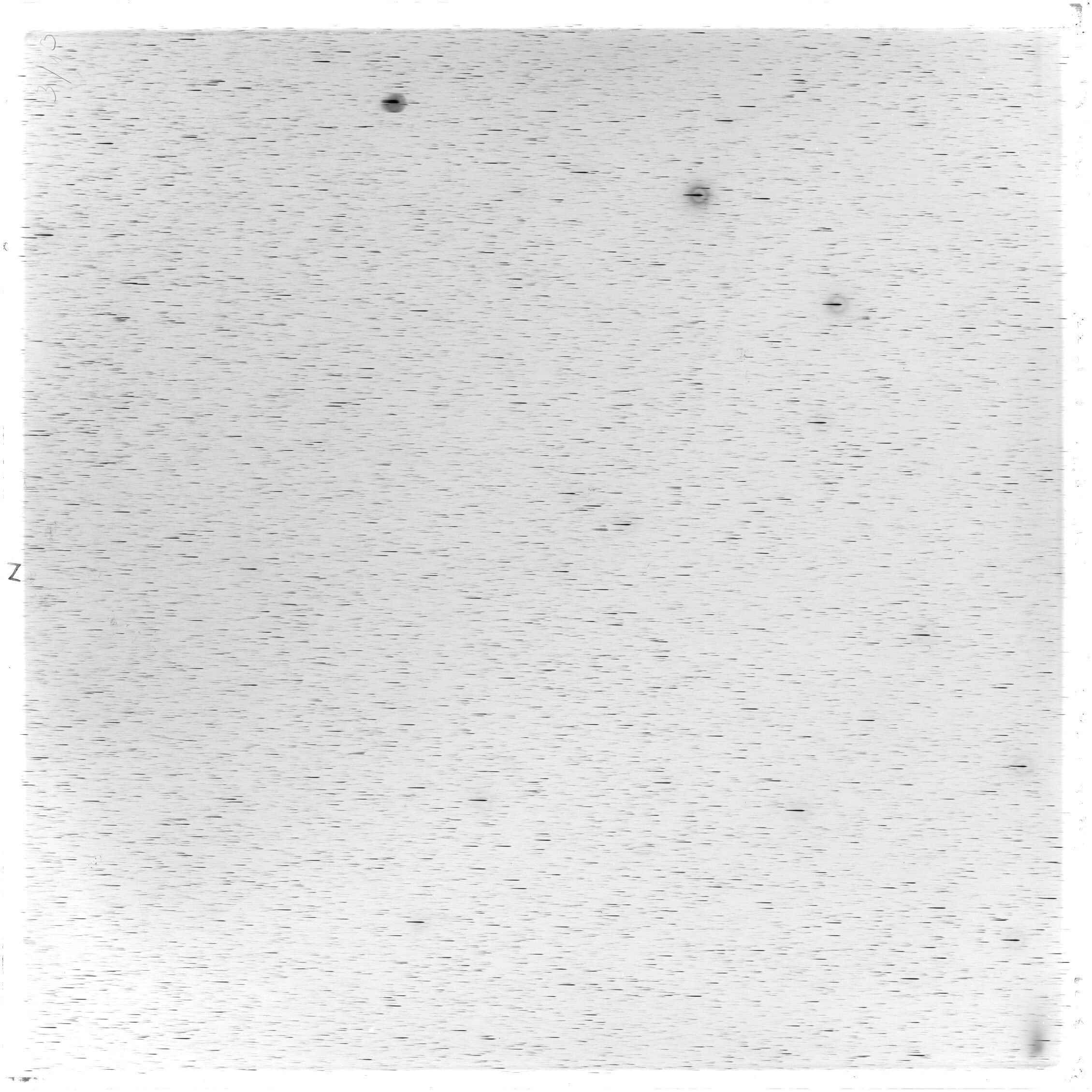 Scan GS03277
