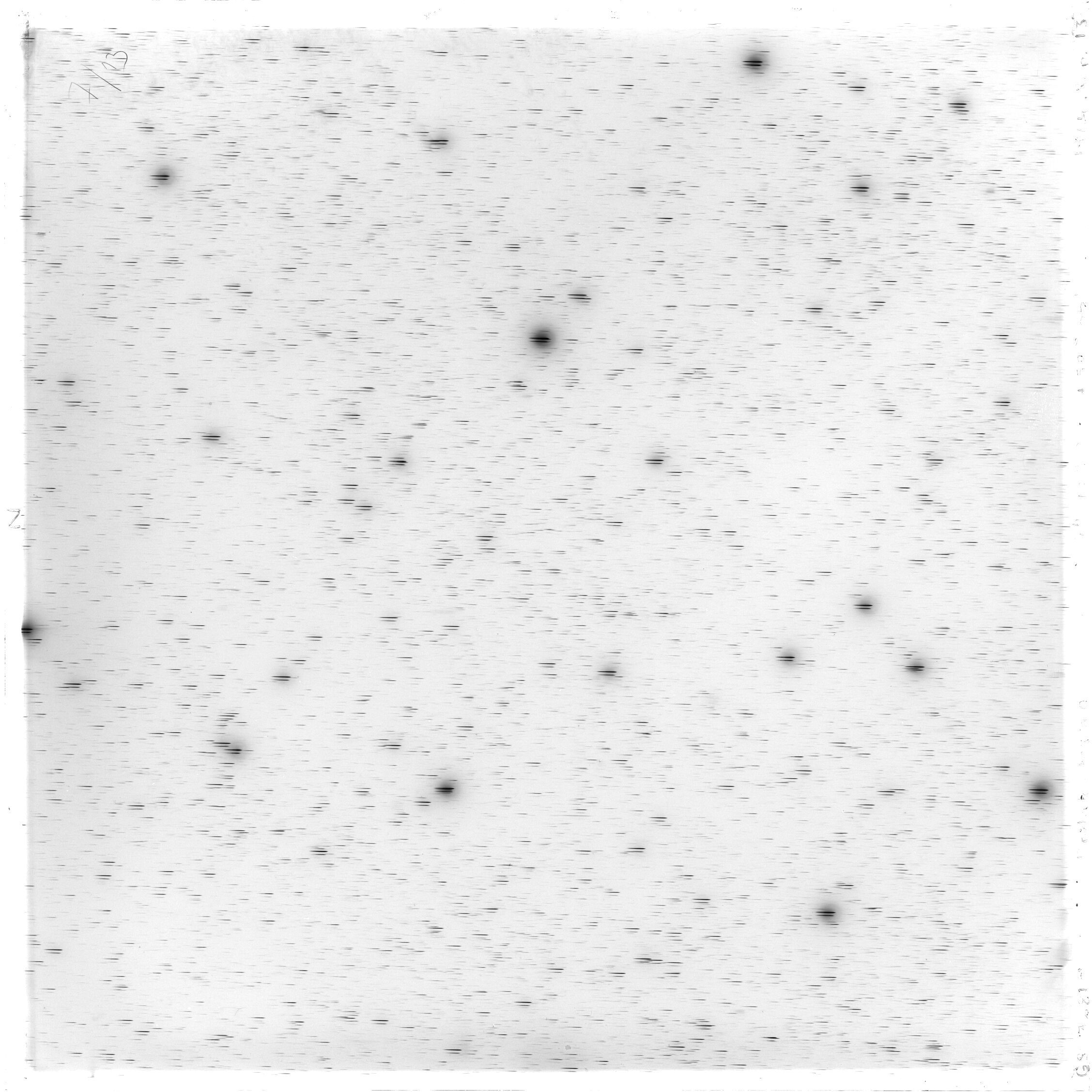 Scan GS03281