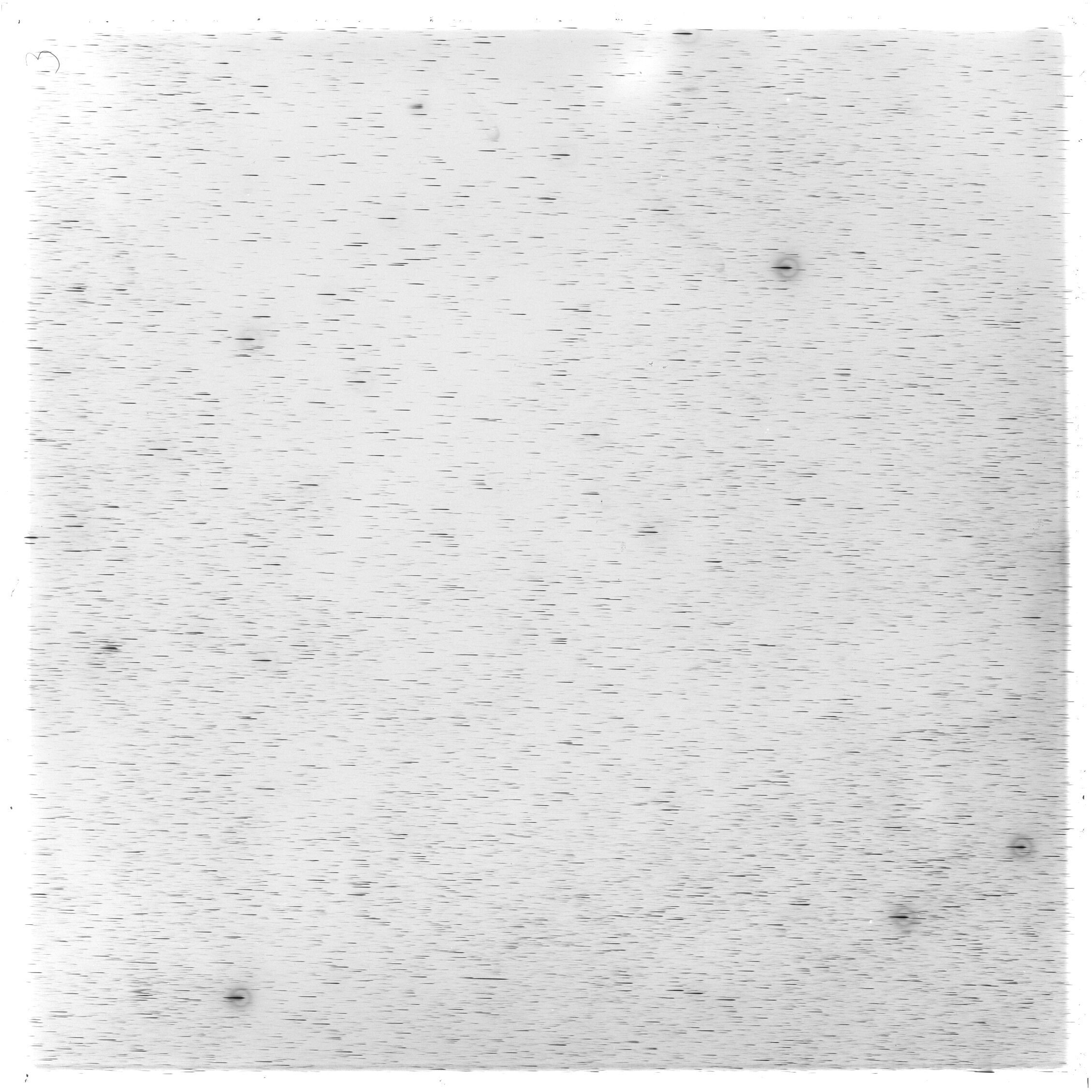 Scan GS03294
