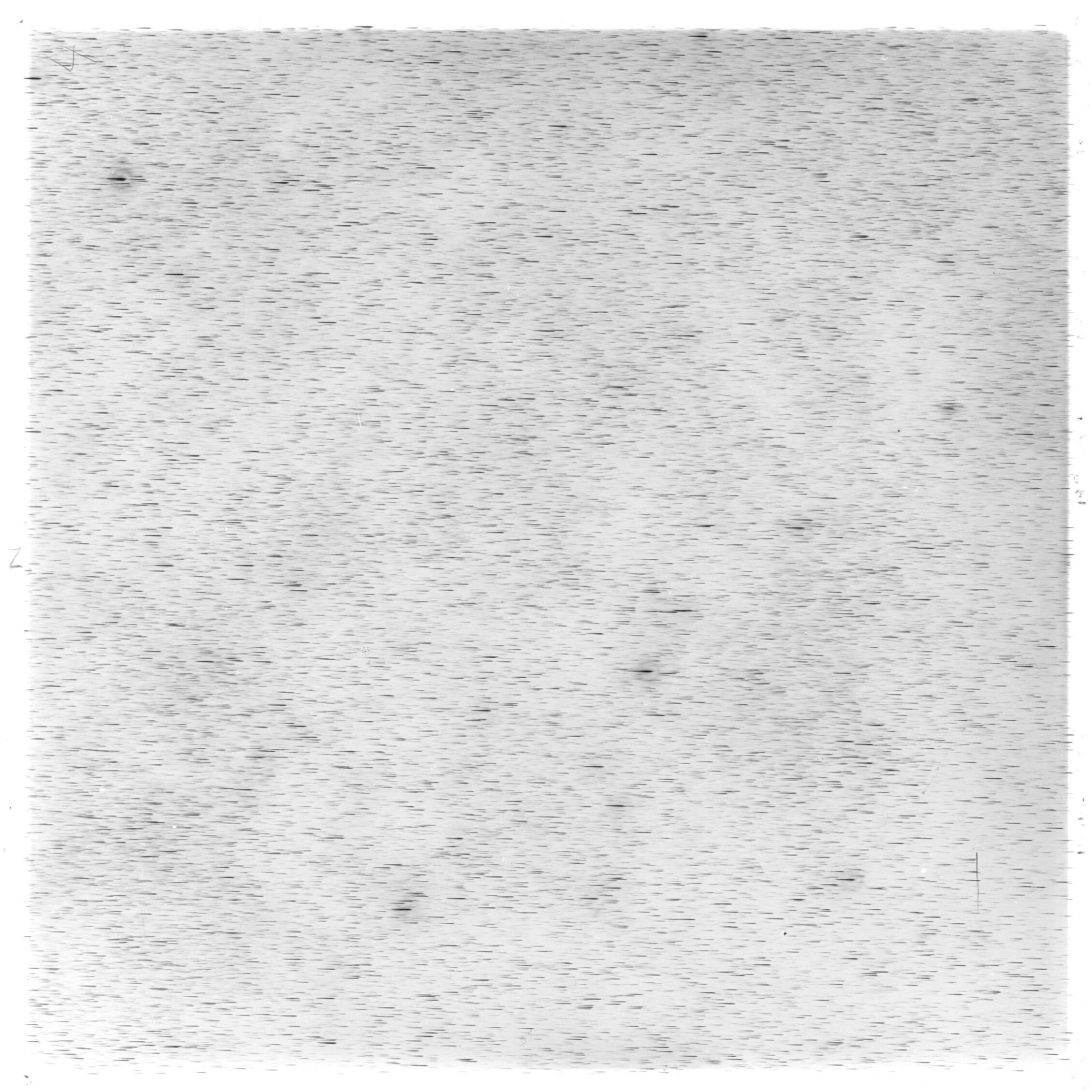 Scan GS03295