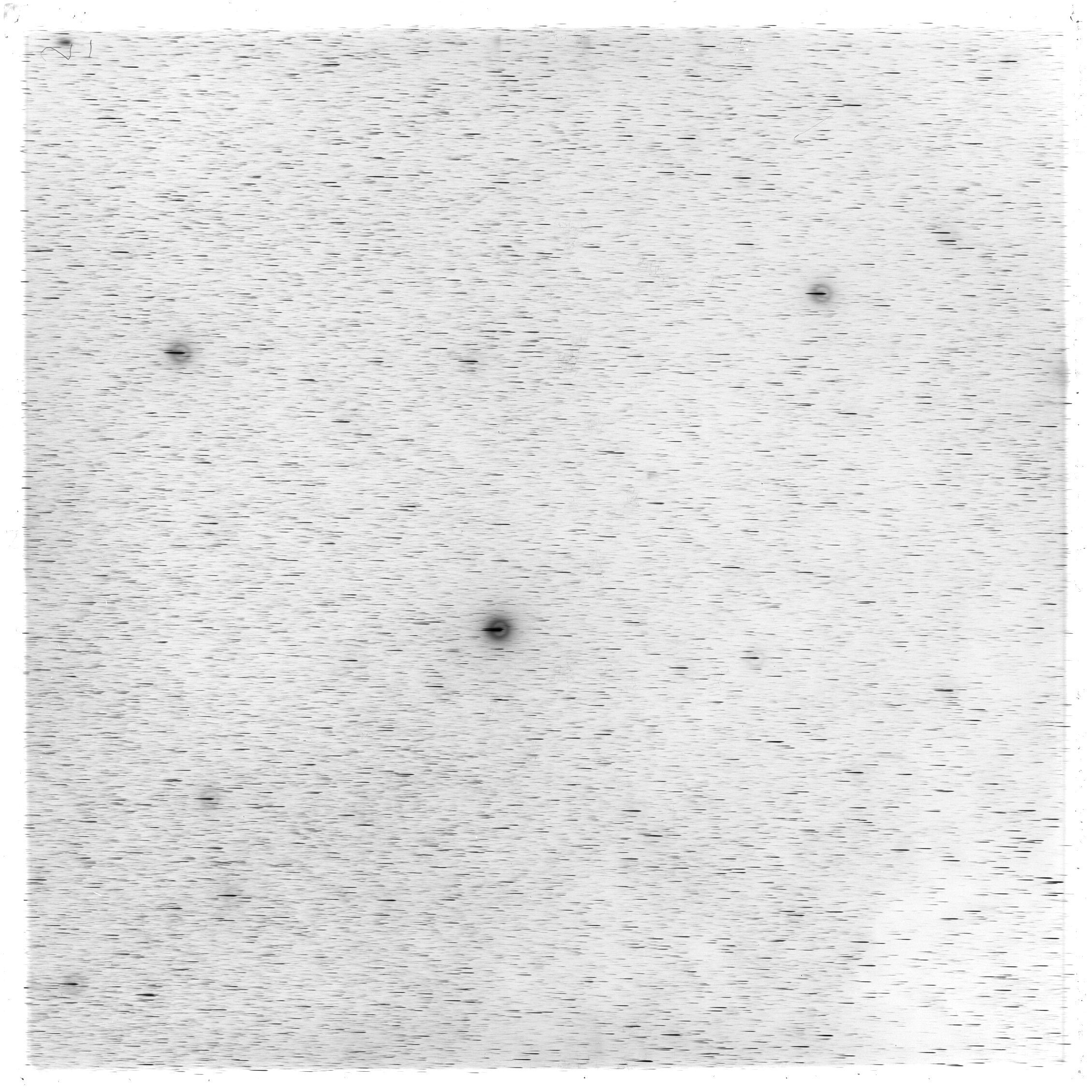 Scan GS03299