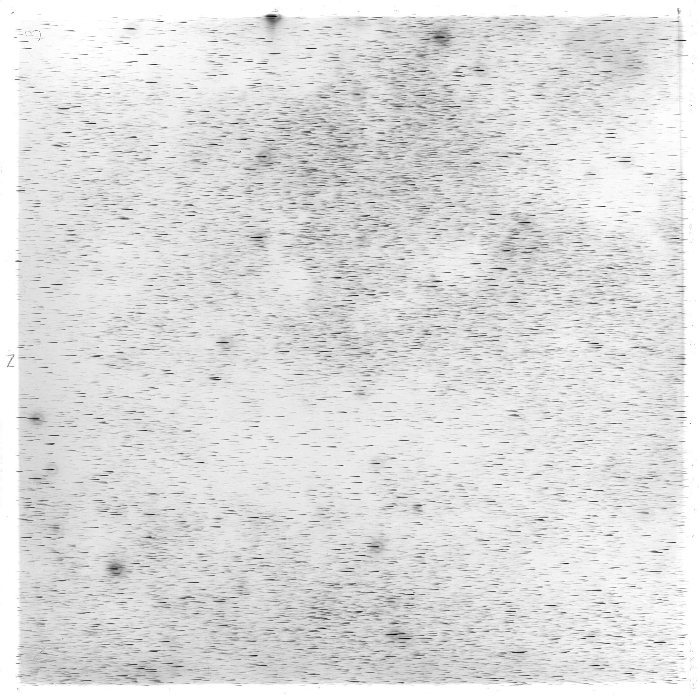 Scan GS03300