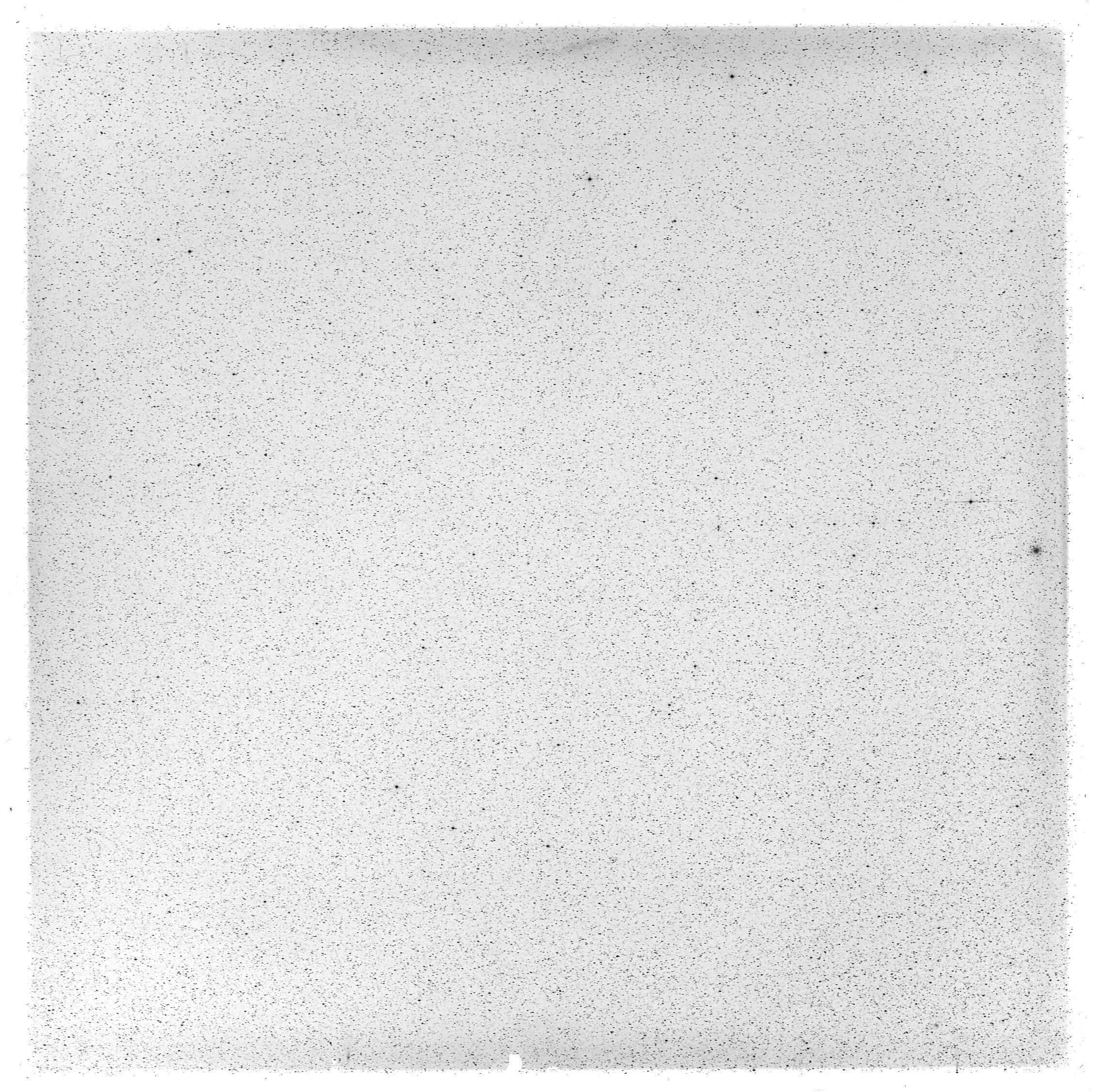 Scan GS03302