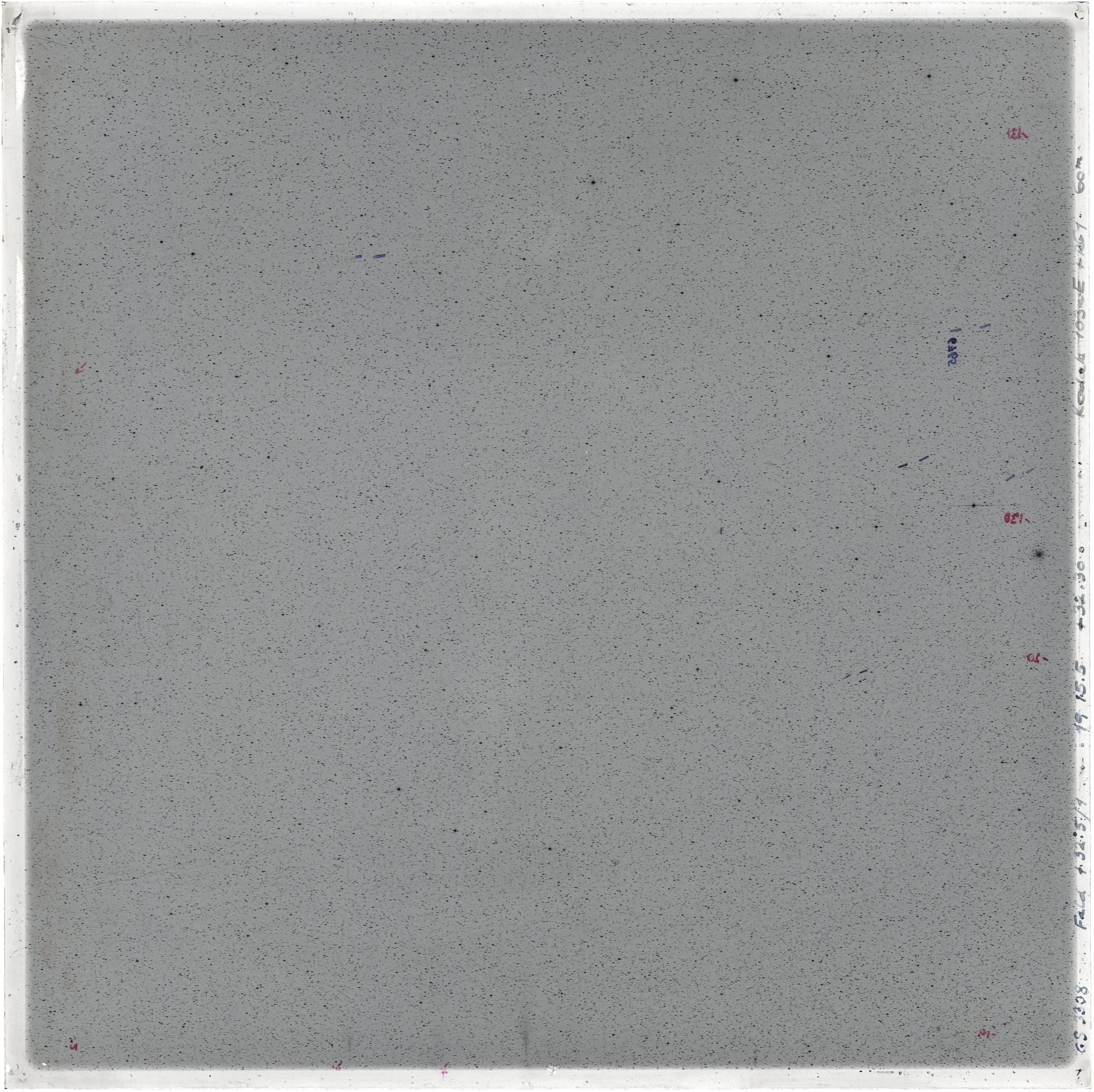 Scan GS03308