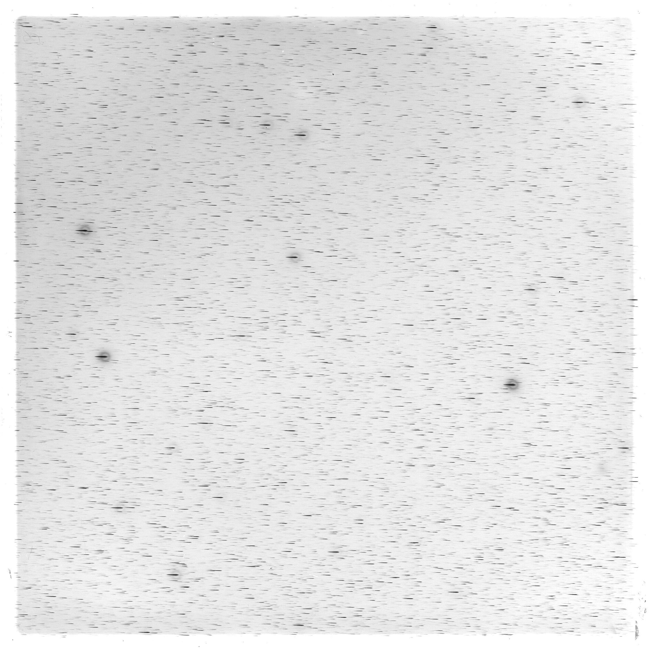 Scan GS03310
