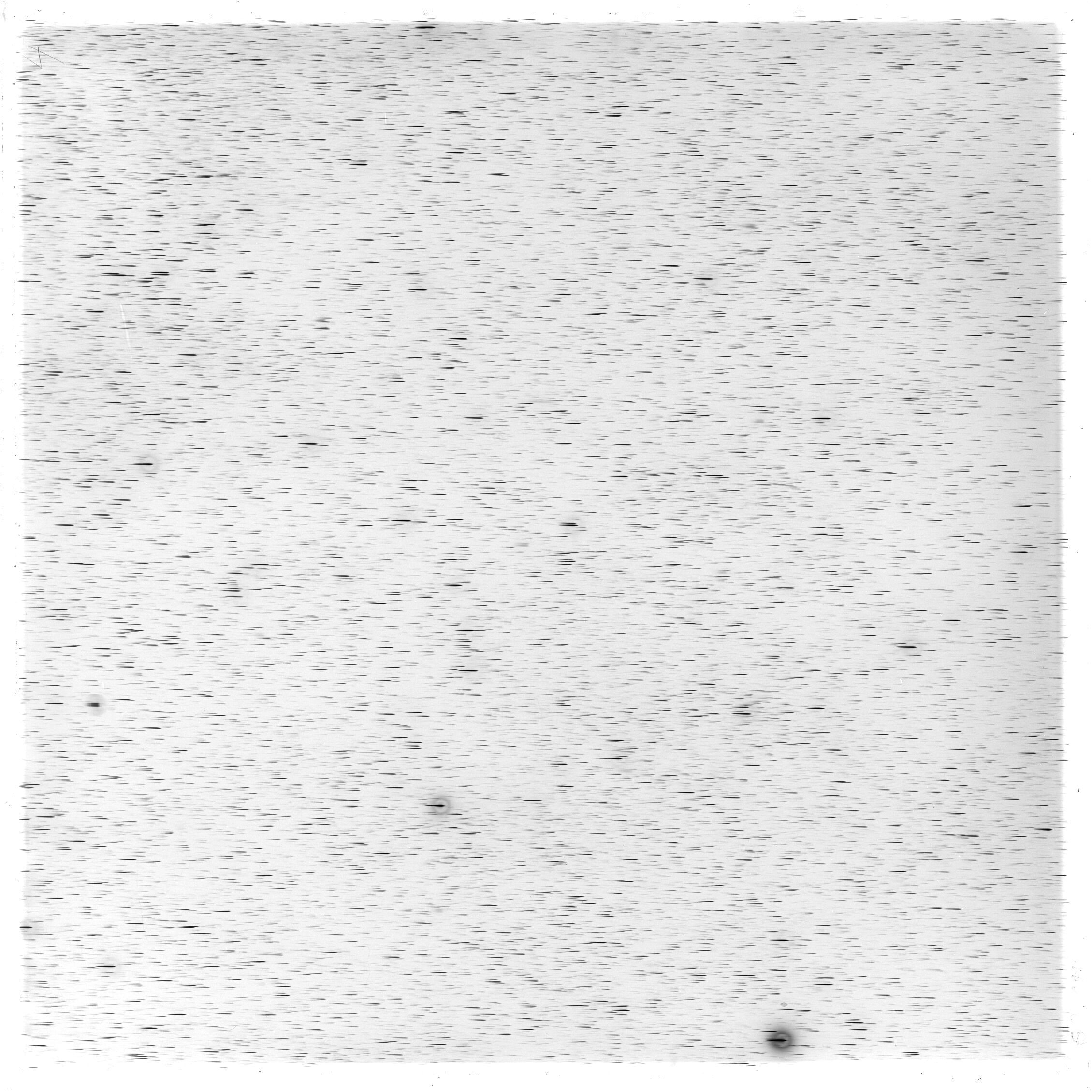 Scan GS03311