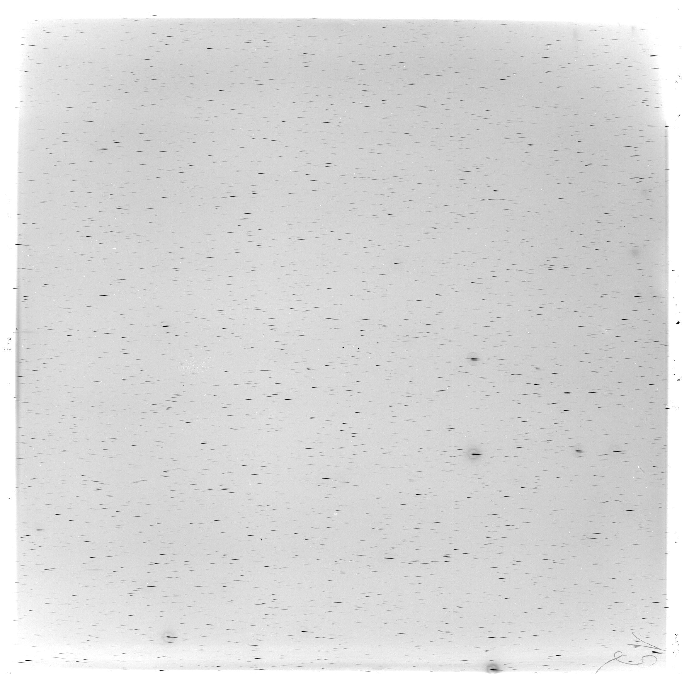 Scan GS03504