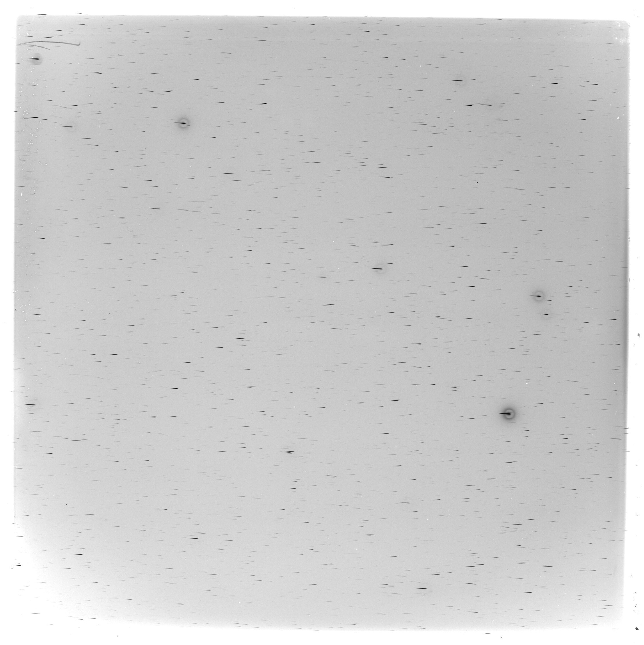 Scan GS03505