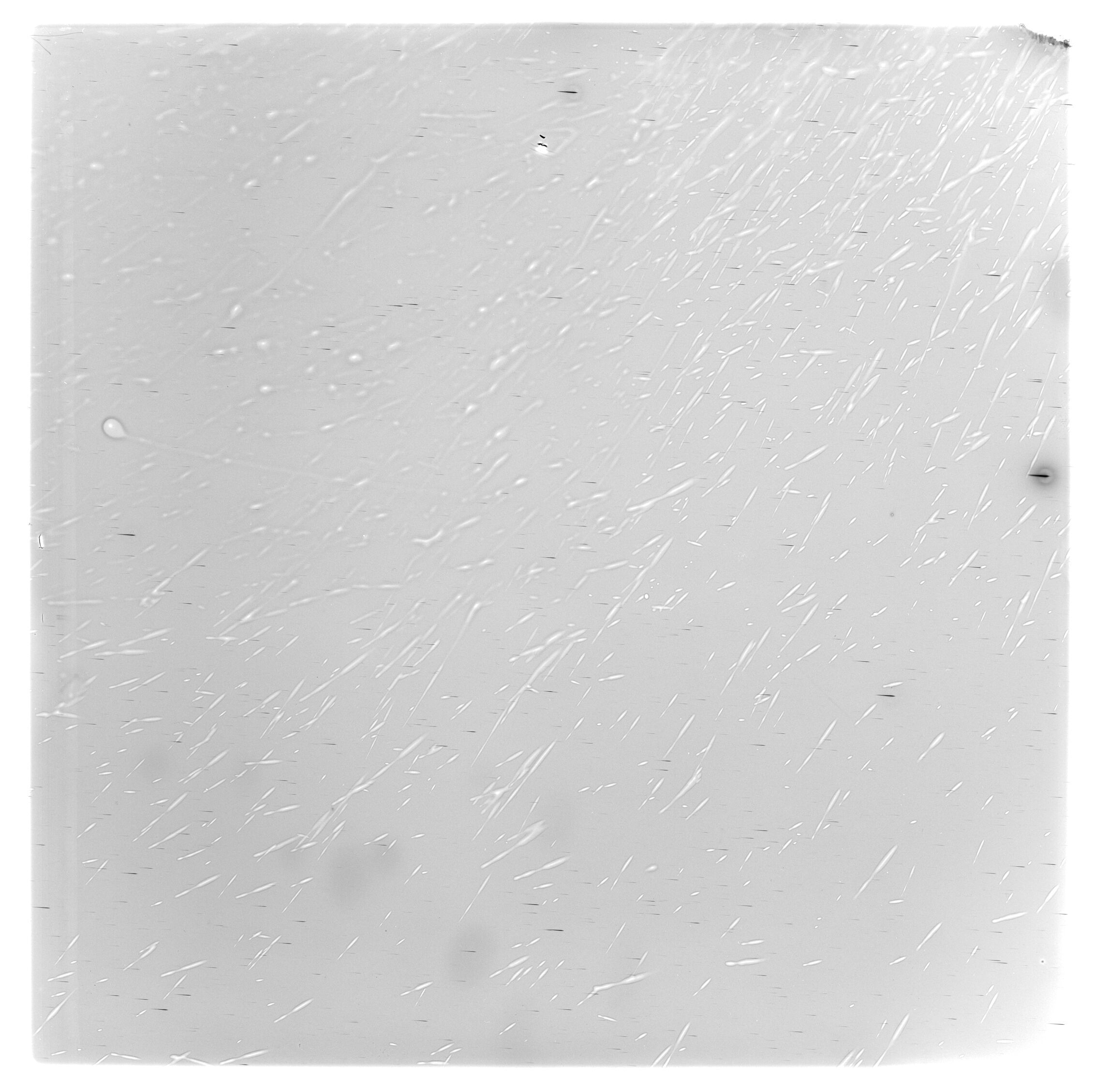 Scan GS03514