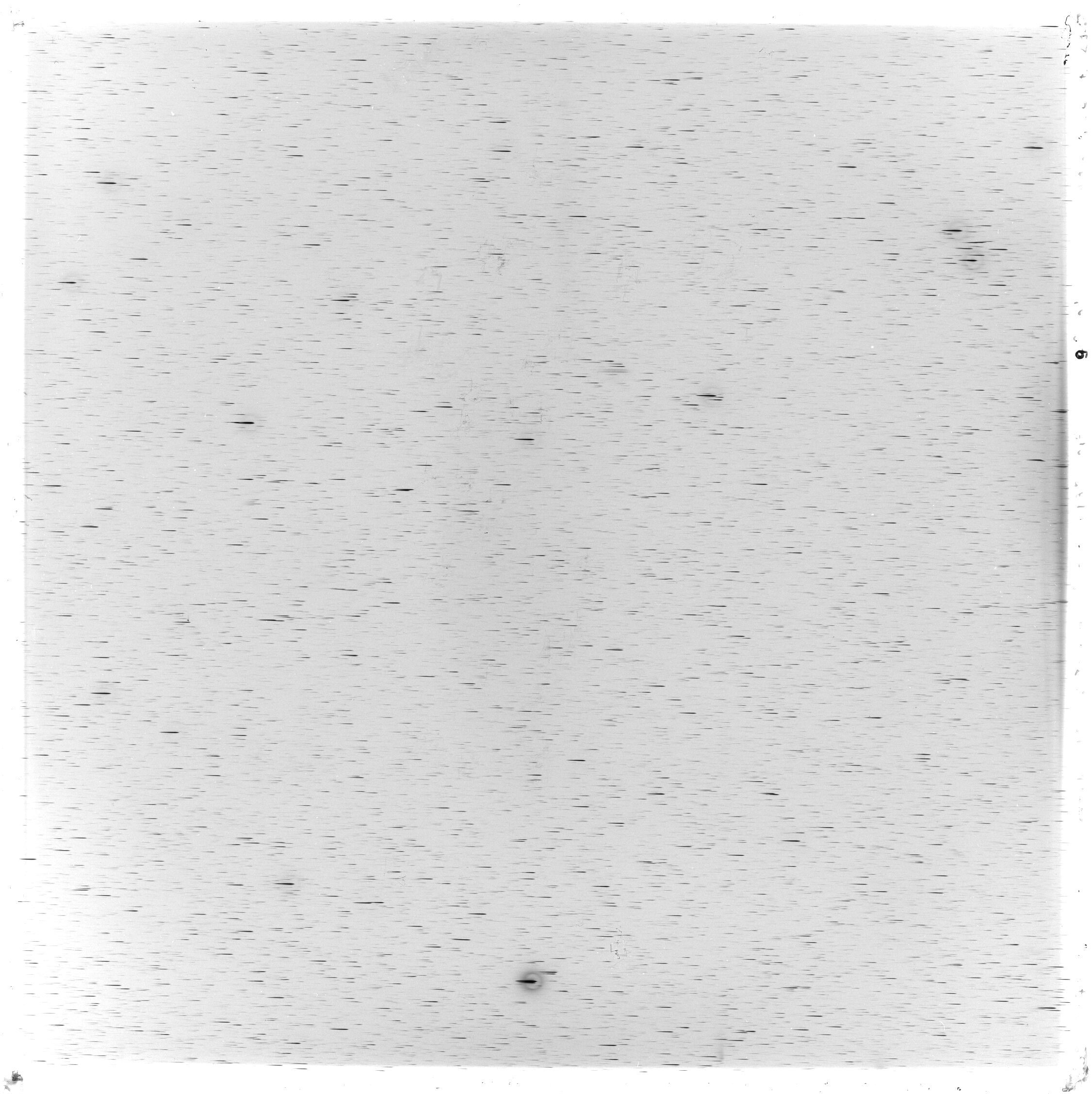 Scan GS03575