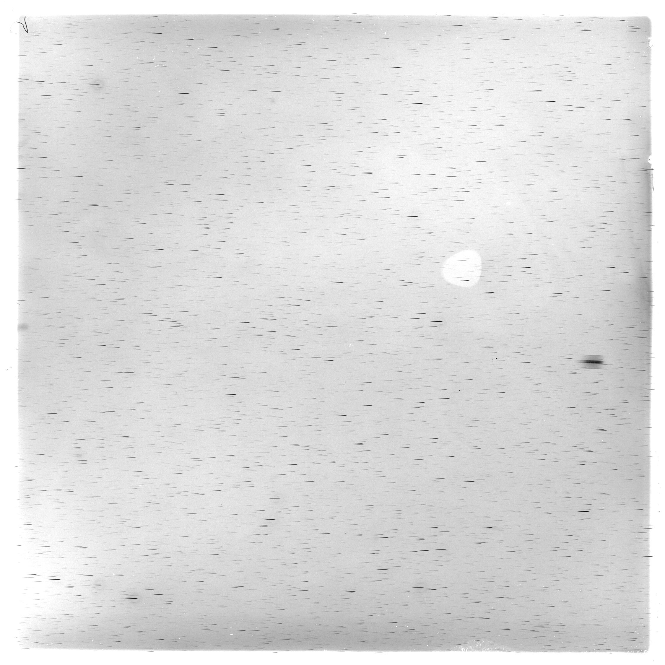 Scan GS03578