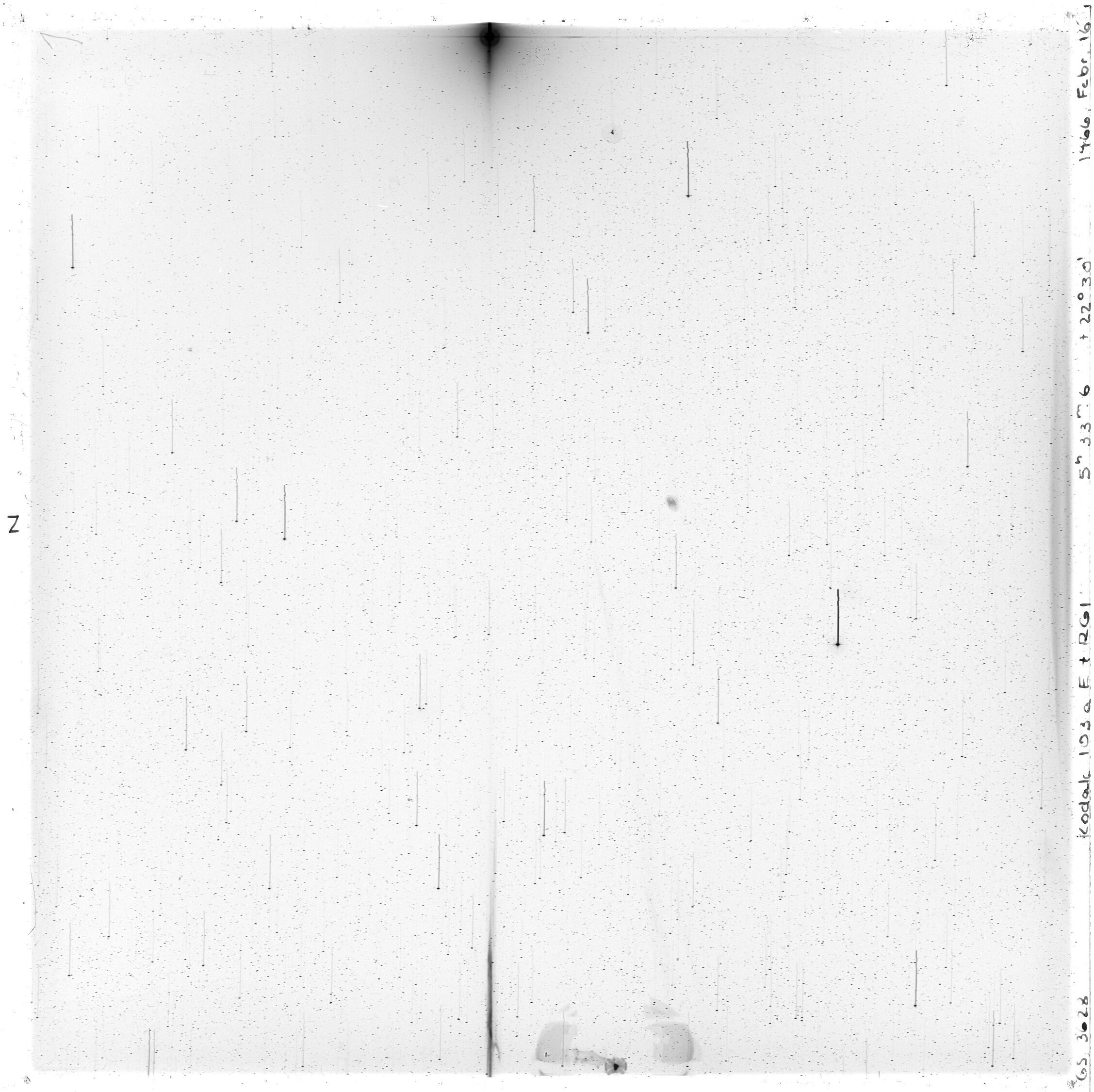 Scan GS03628
