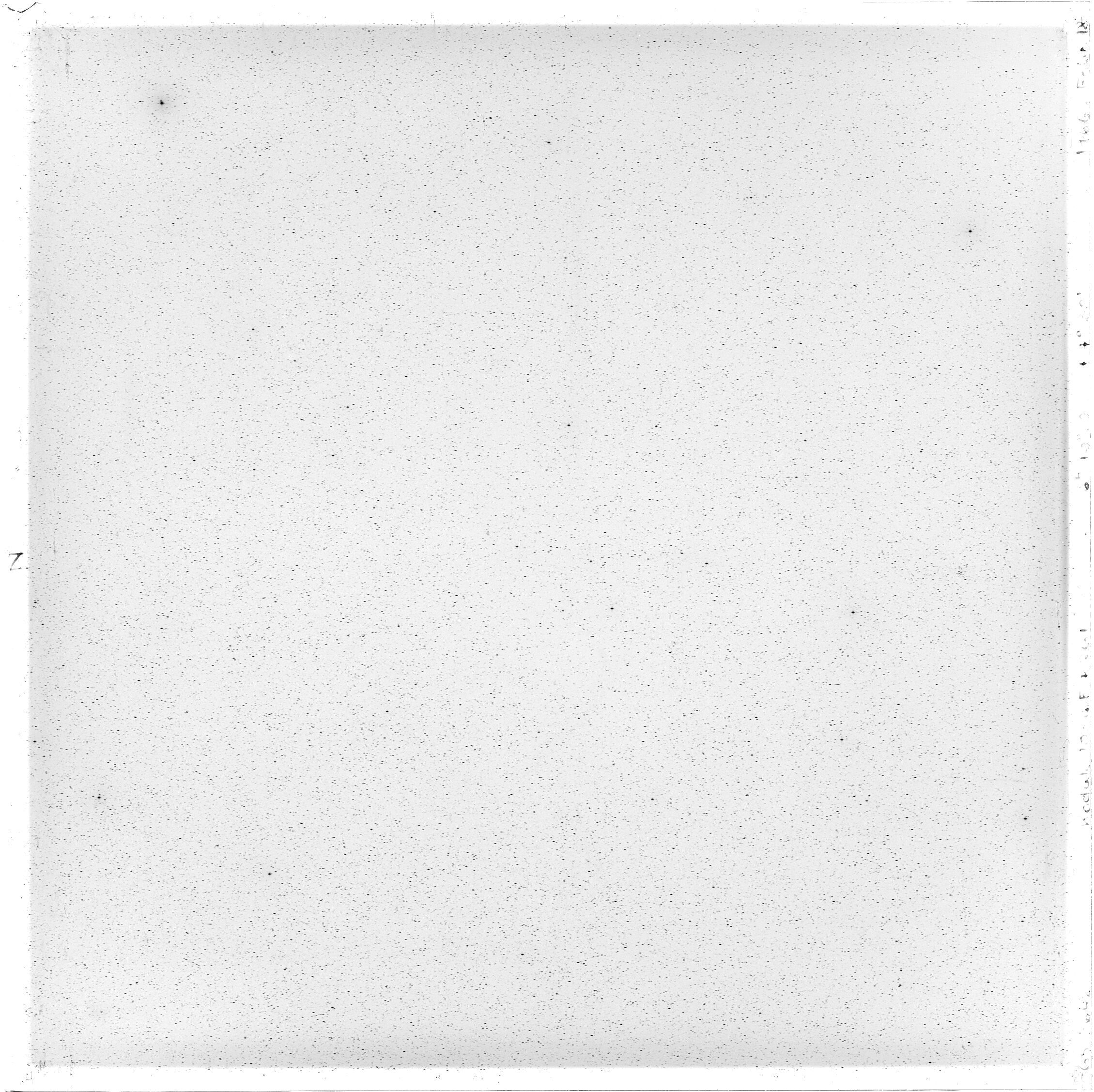 Scan GS03642