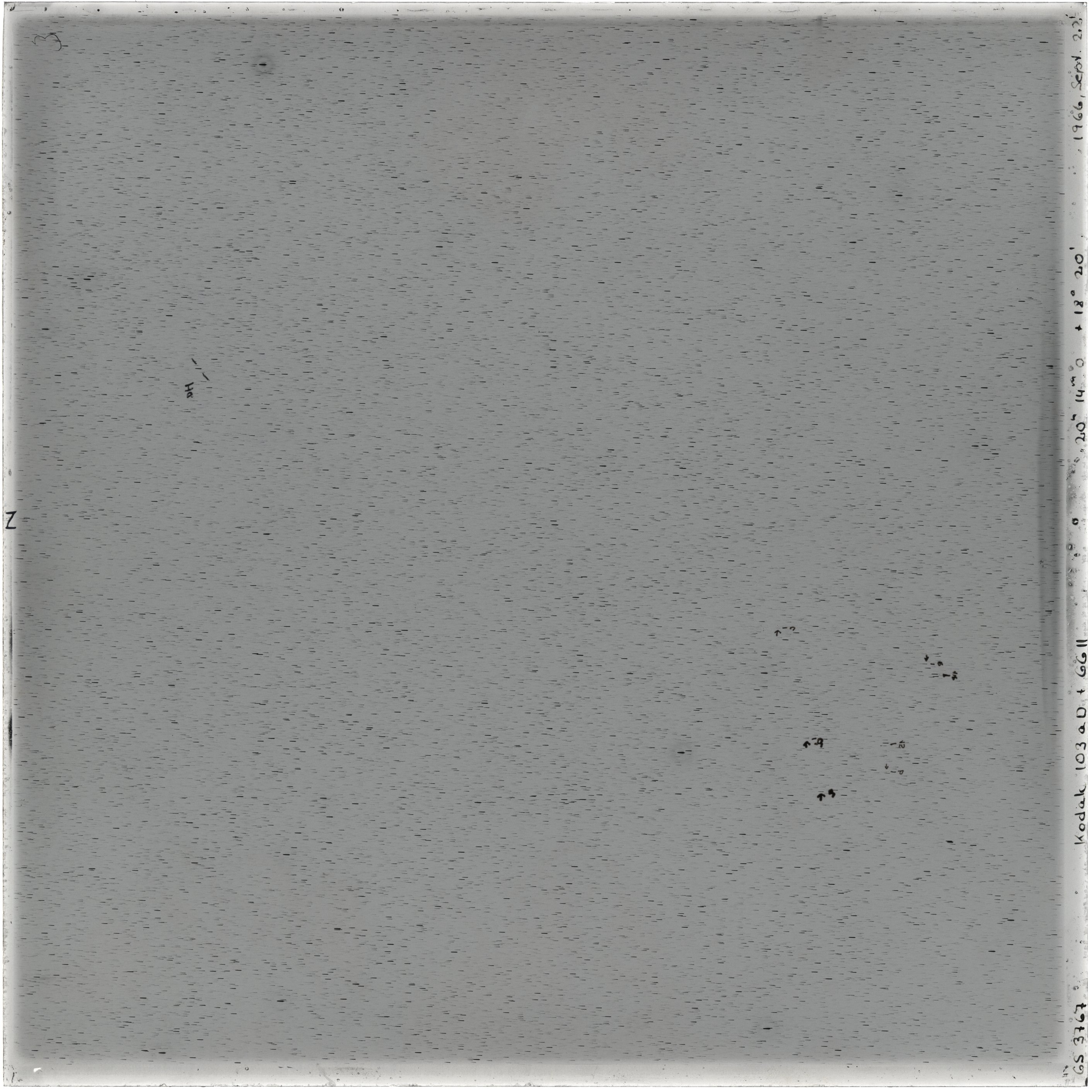 Scan GS03767