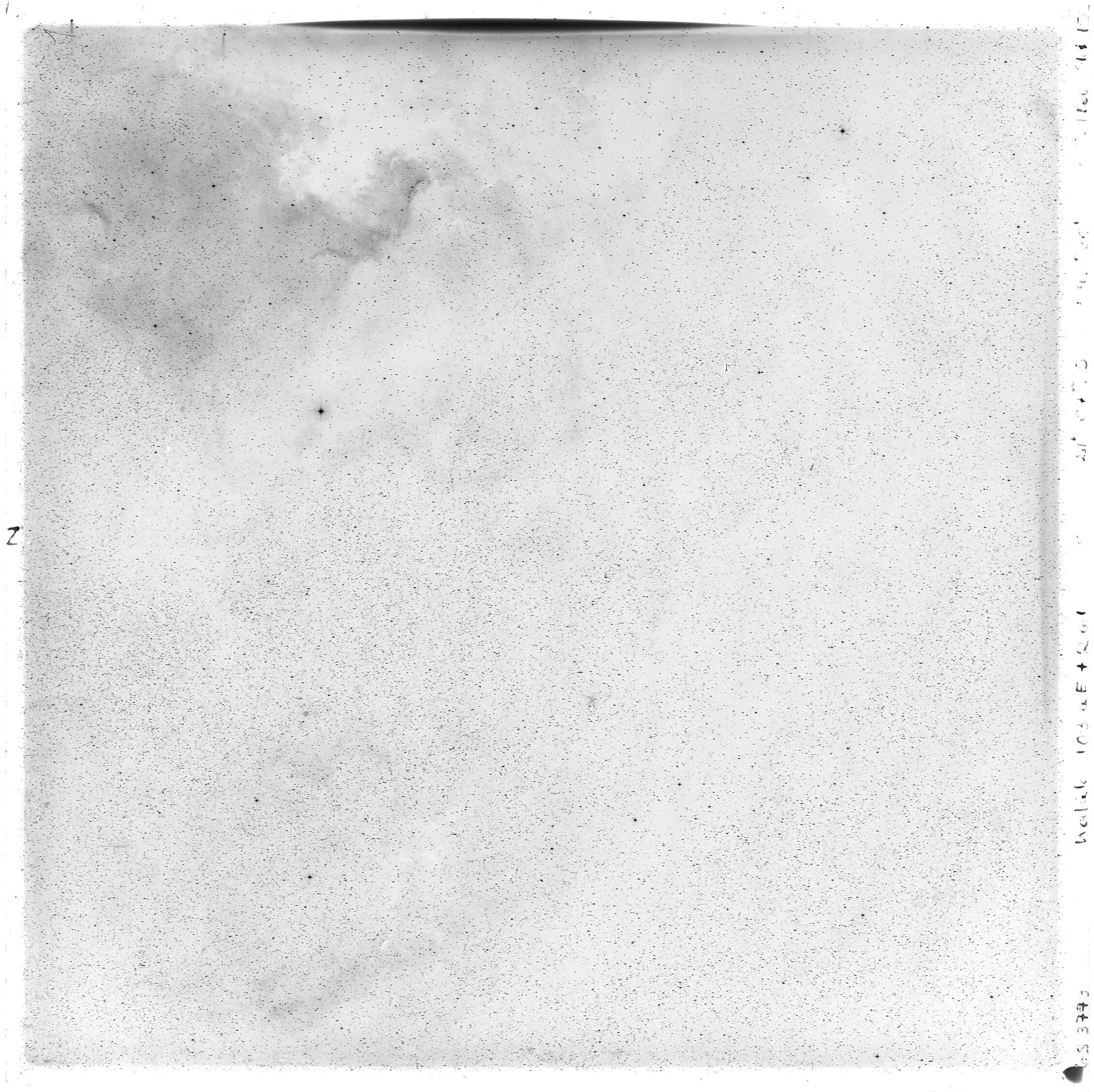 Scan GS03773