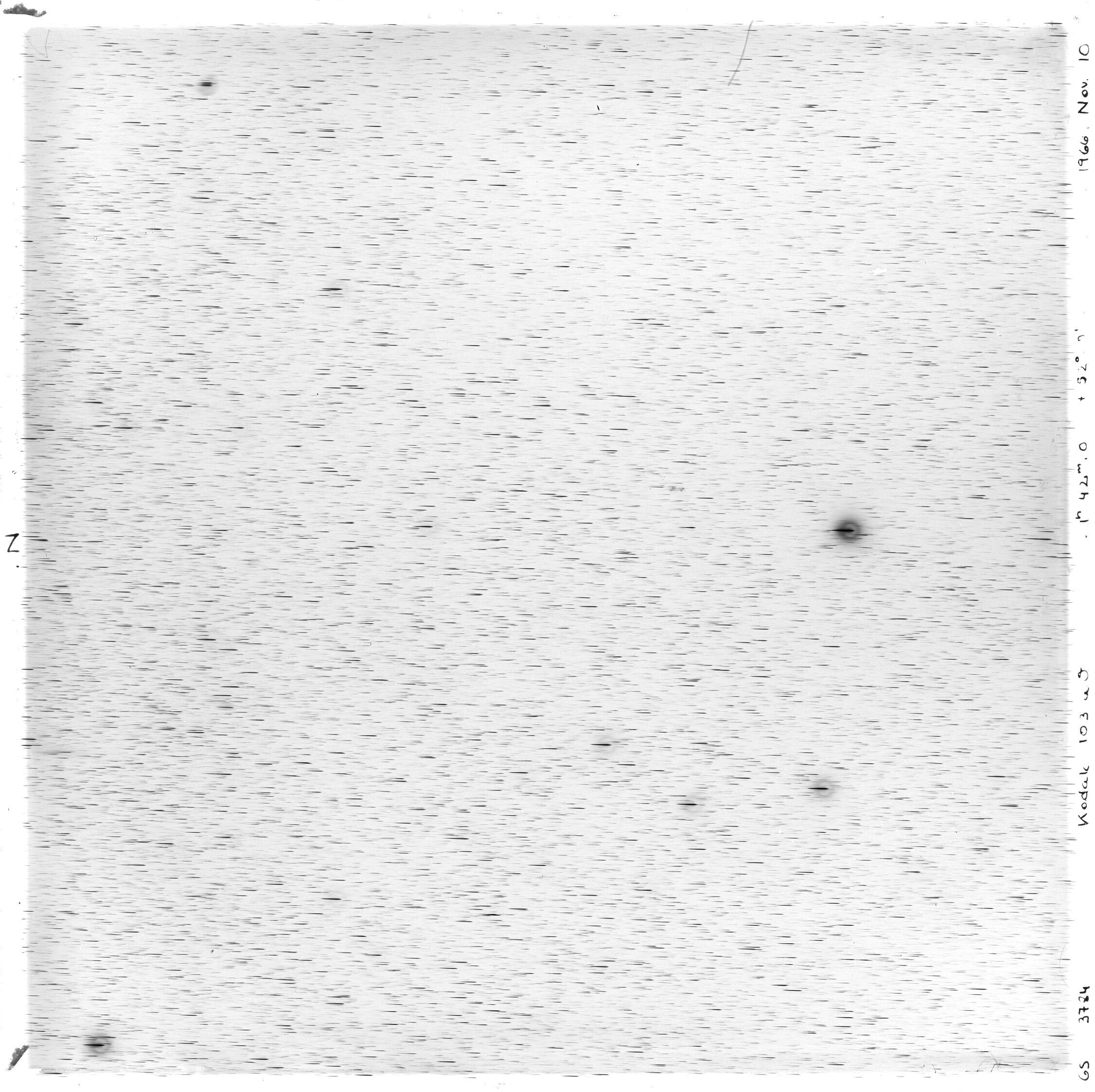 Scan GS03784