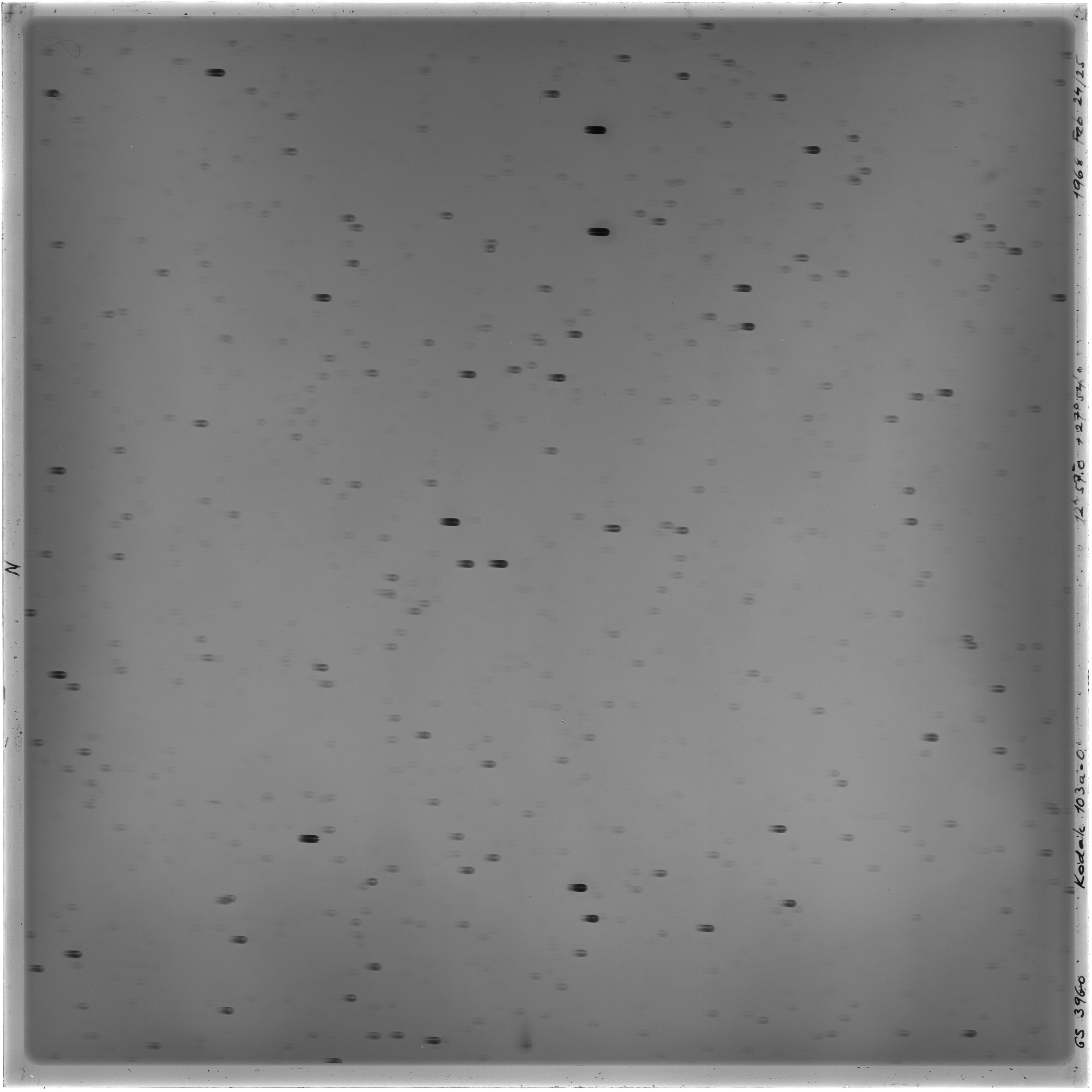 Scan GS03960