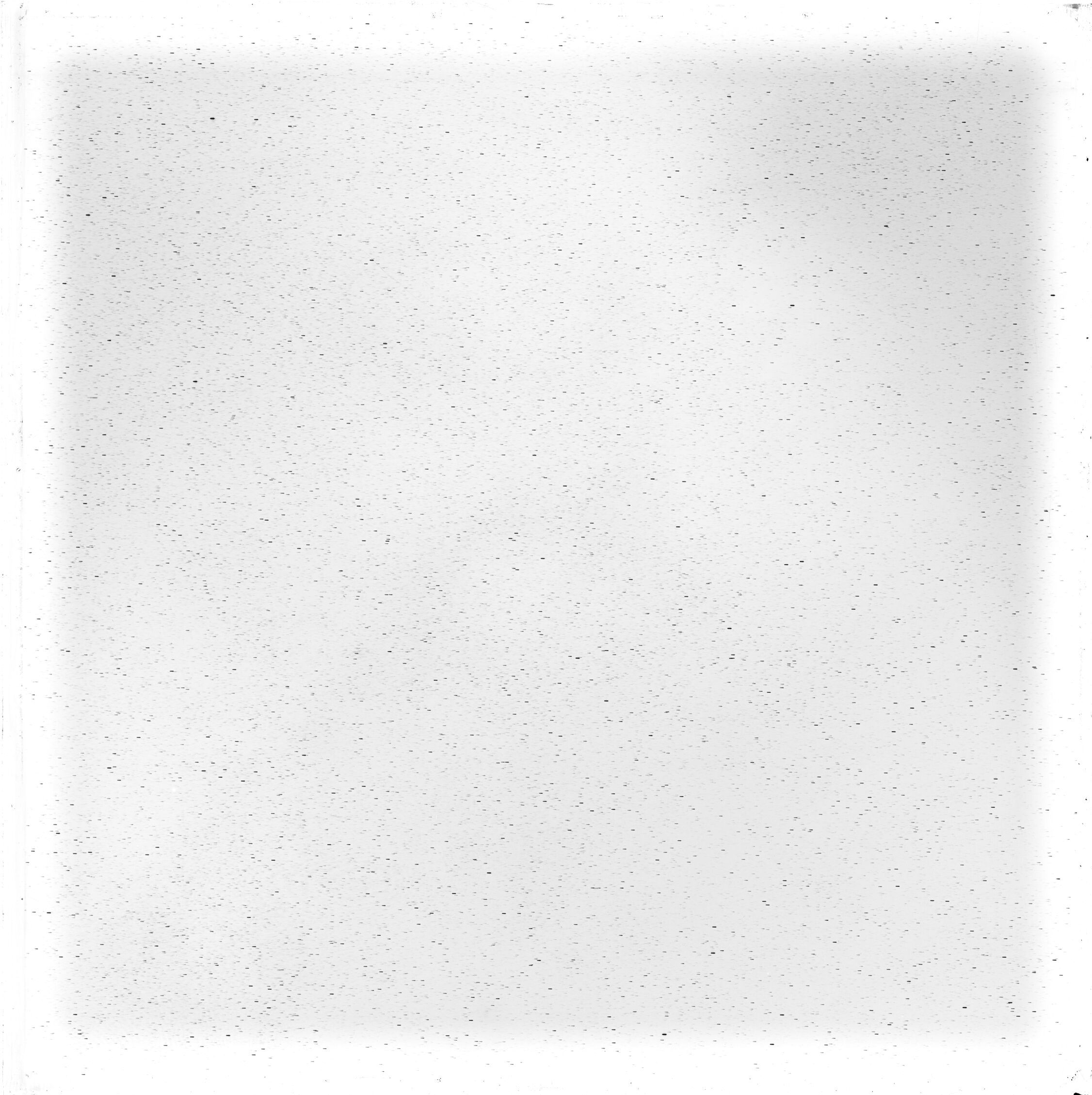 Scan GS04186