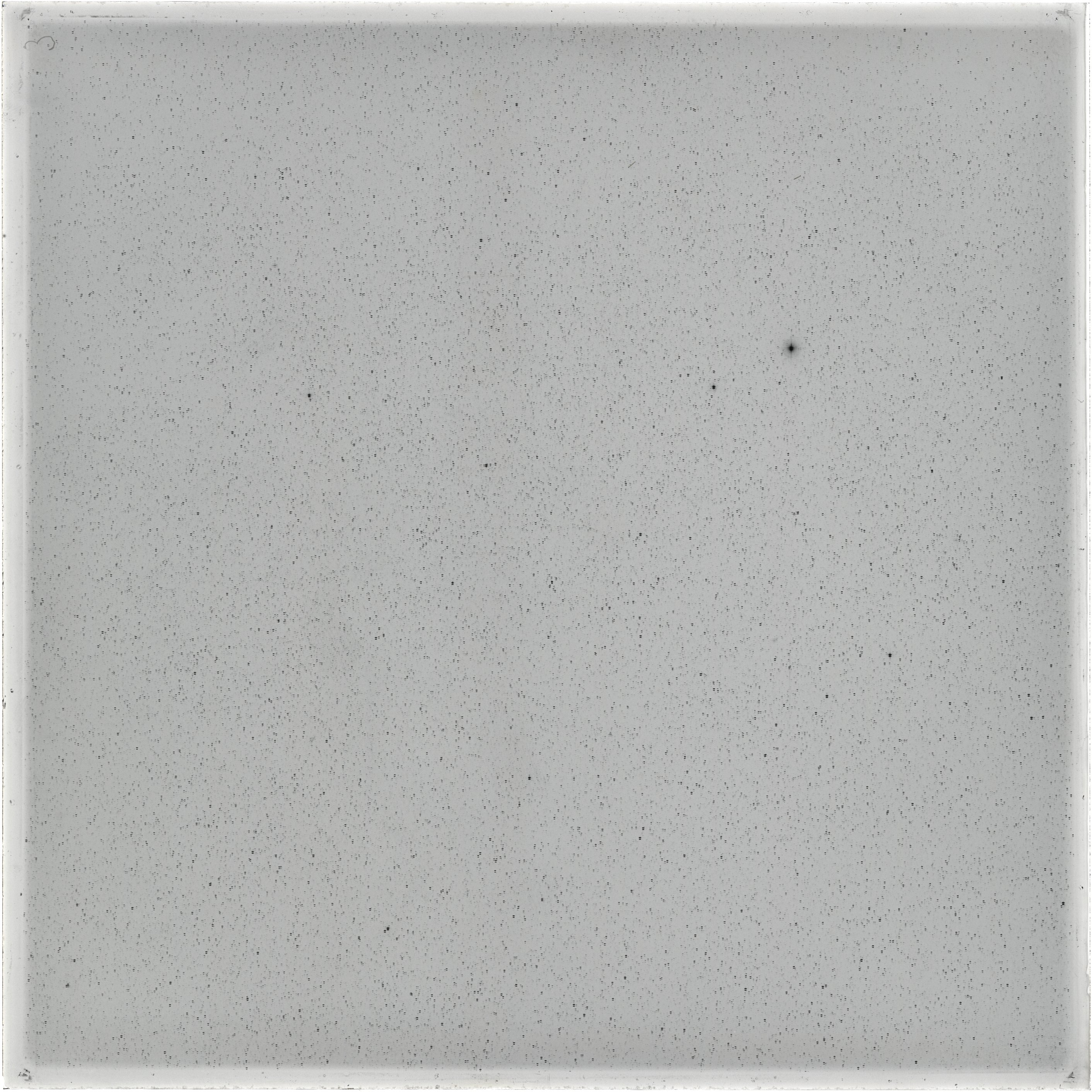 Scan GS04904