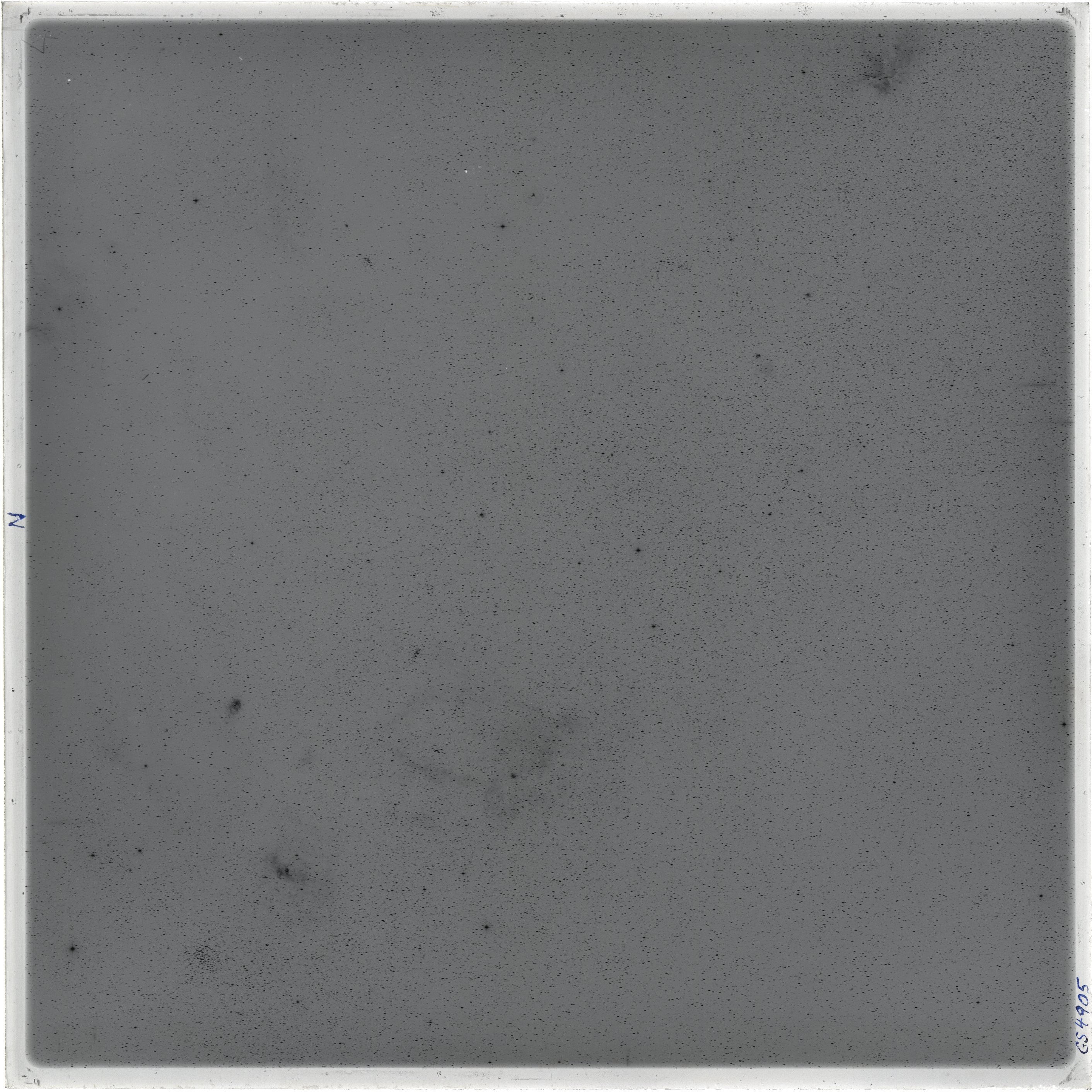 Scan GS04905