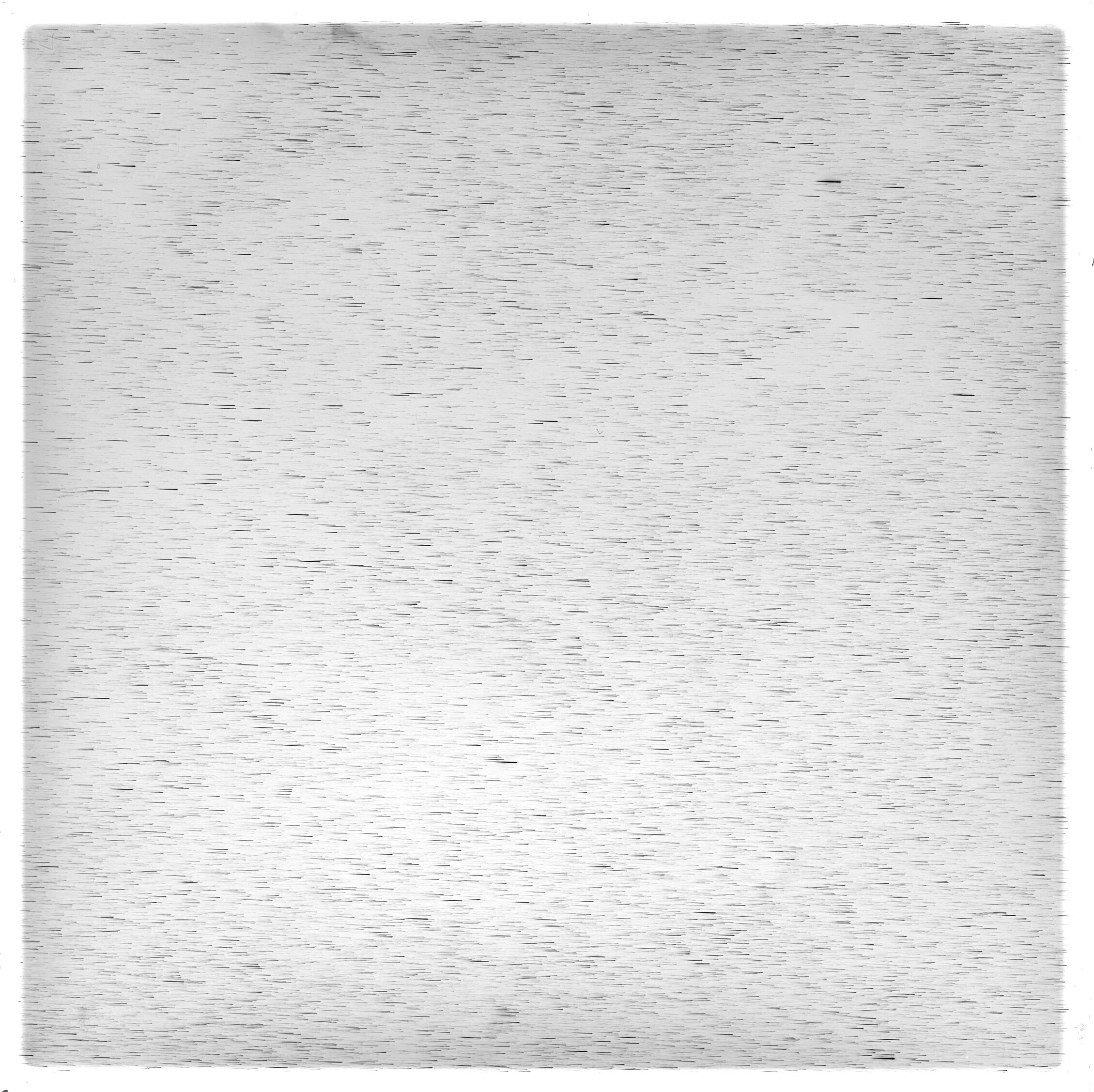 Scan GS04919